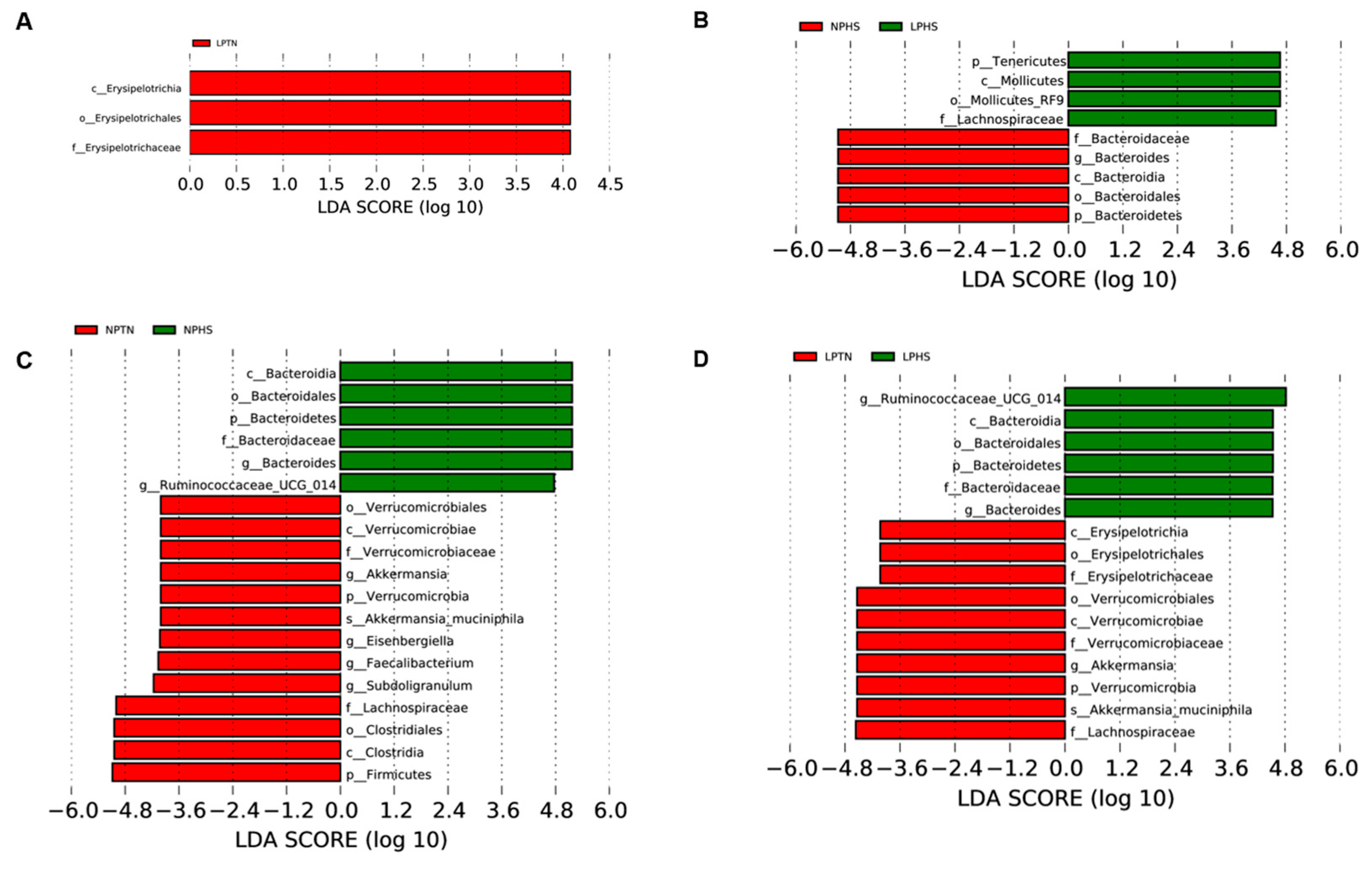 Ijms 25 04369 g012 Ijms 25 04369 g012