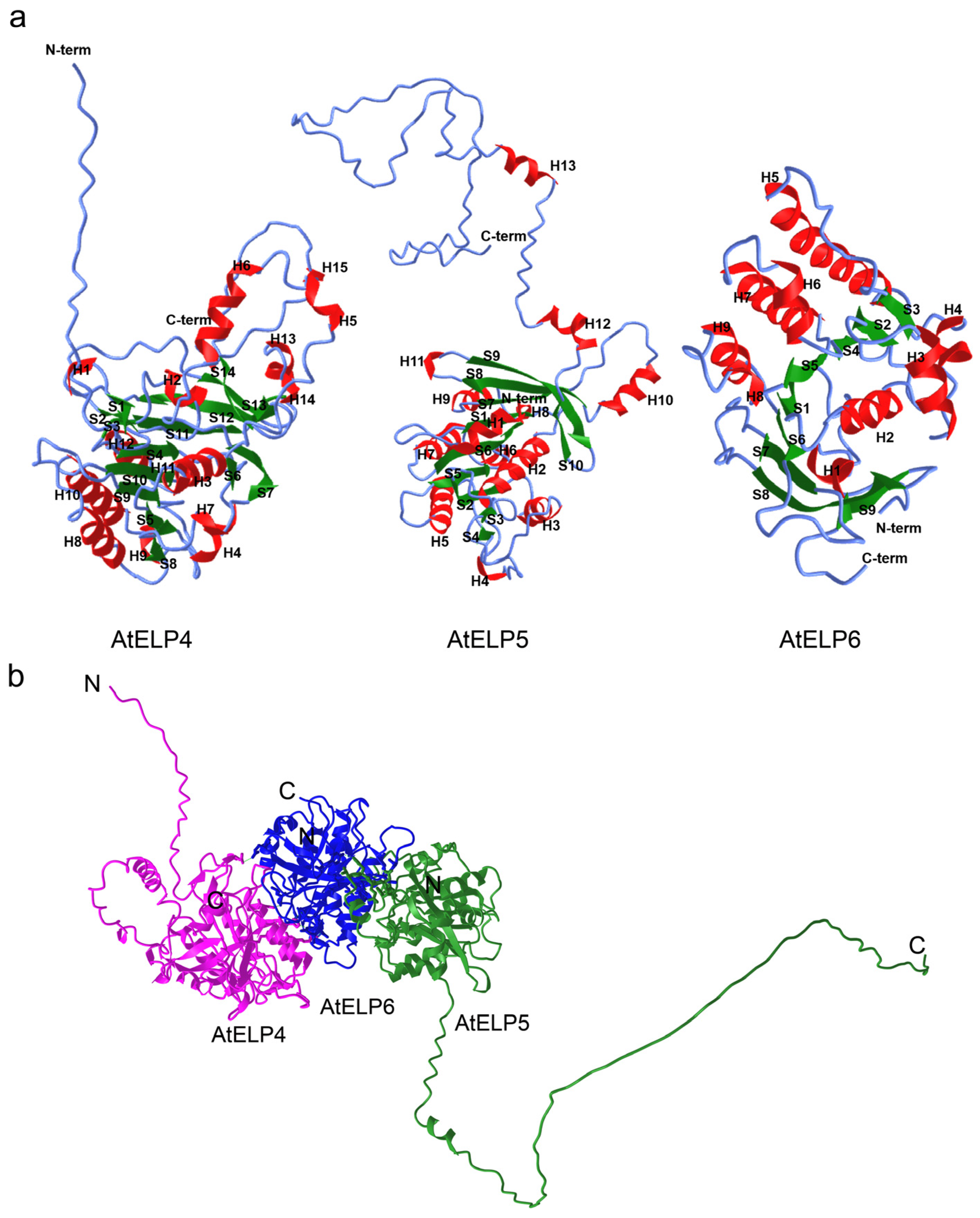 Ijms 25 04370 g004 Ijms 25 04370 g004