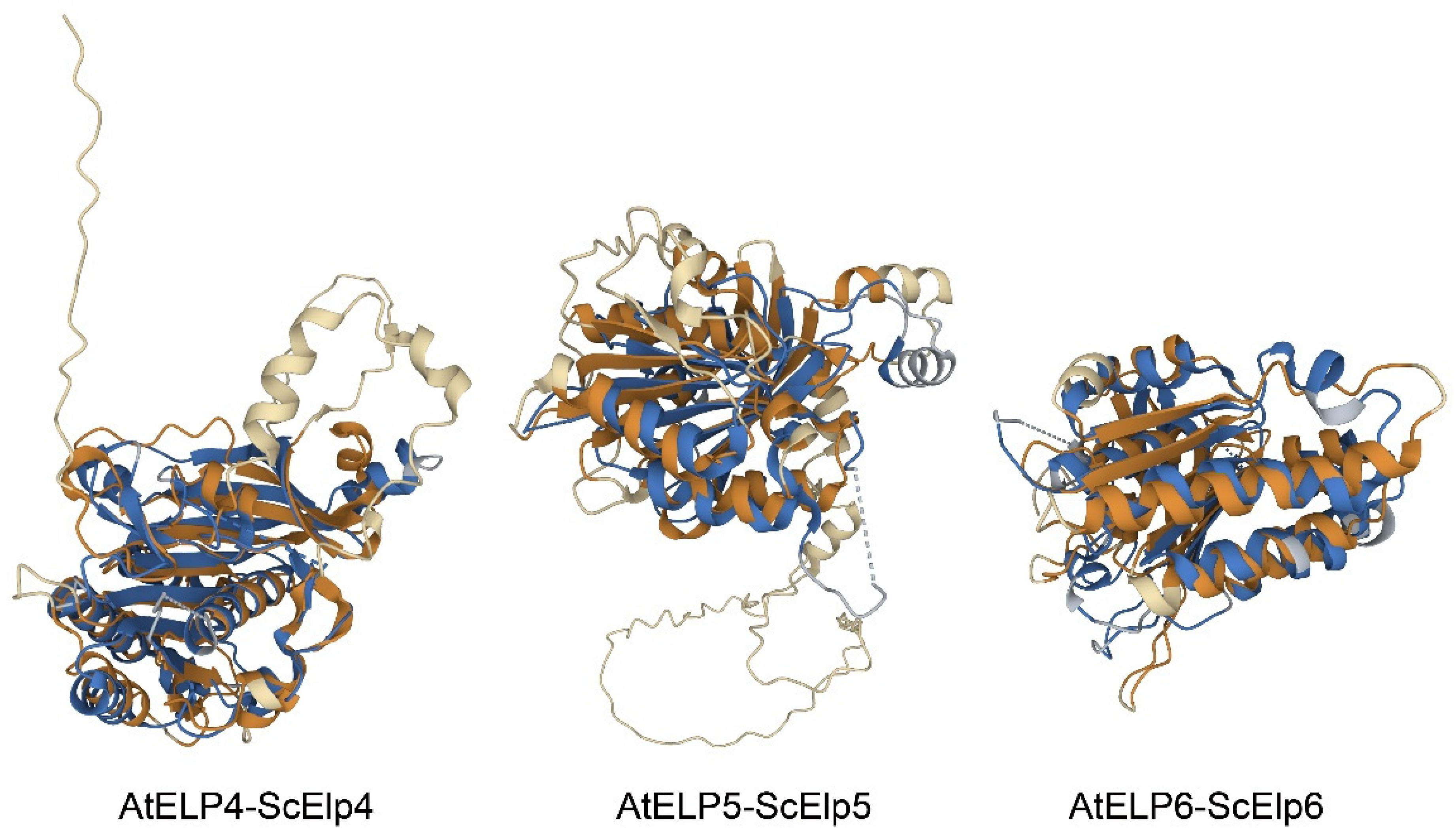 Ijms 25 04370 g005 Ijms 25 04370 g005