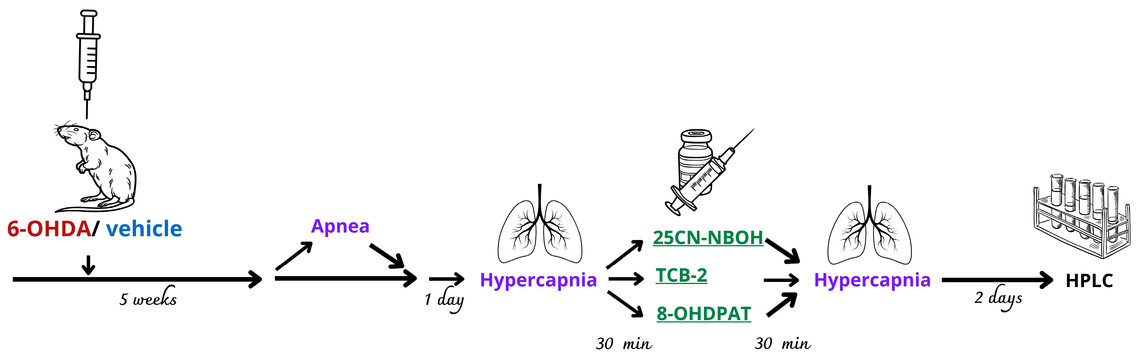 Ijms 25 04403 g011 Ijms 25 04403 g011