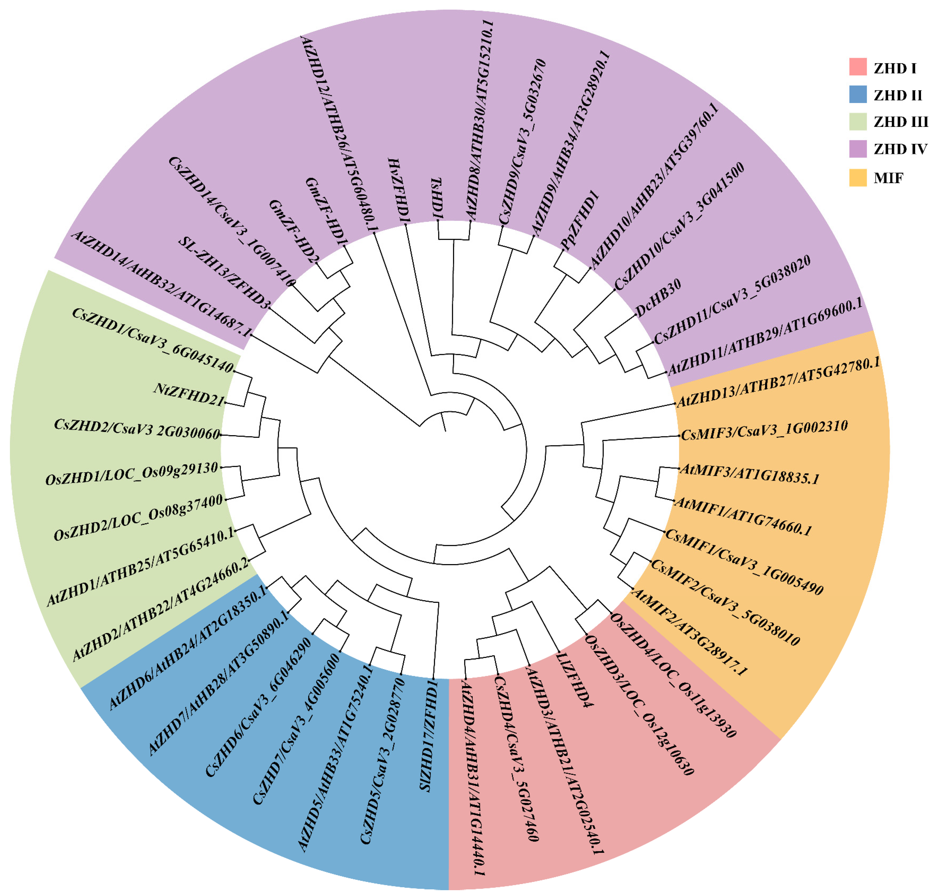 Ijms 25 04408 g001 Ijms 25 04408 g001