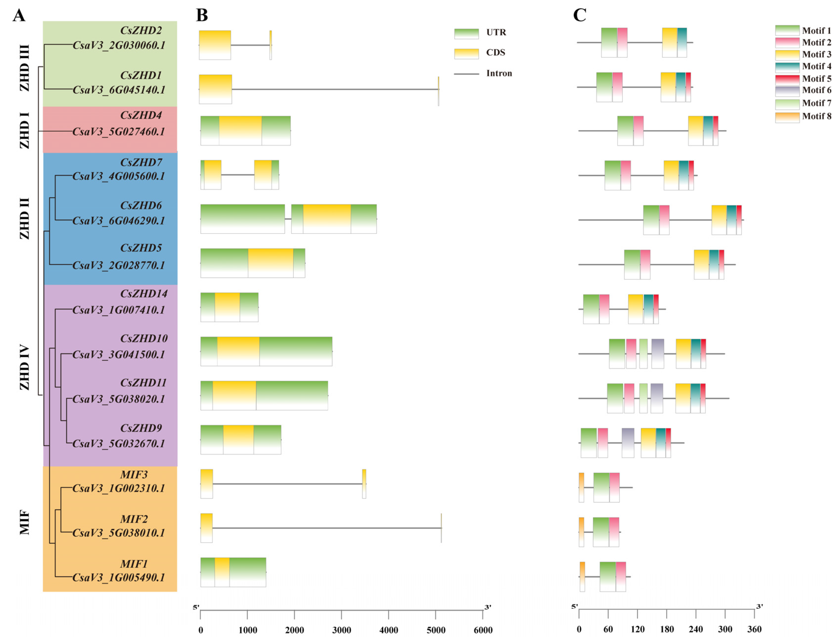 Ijms 25 04408 g003 Ijms 25 04408 g003
