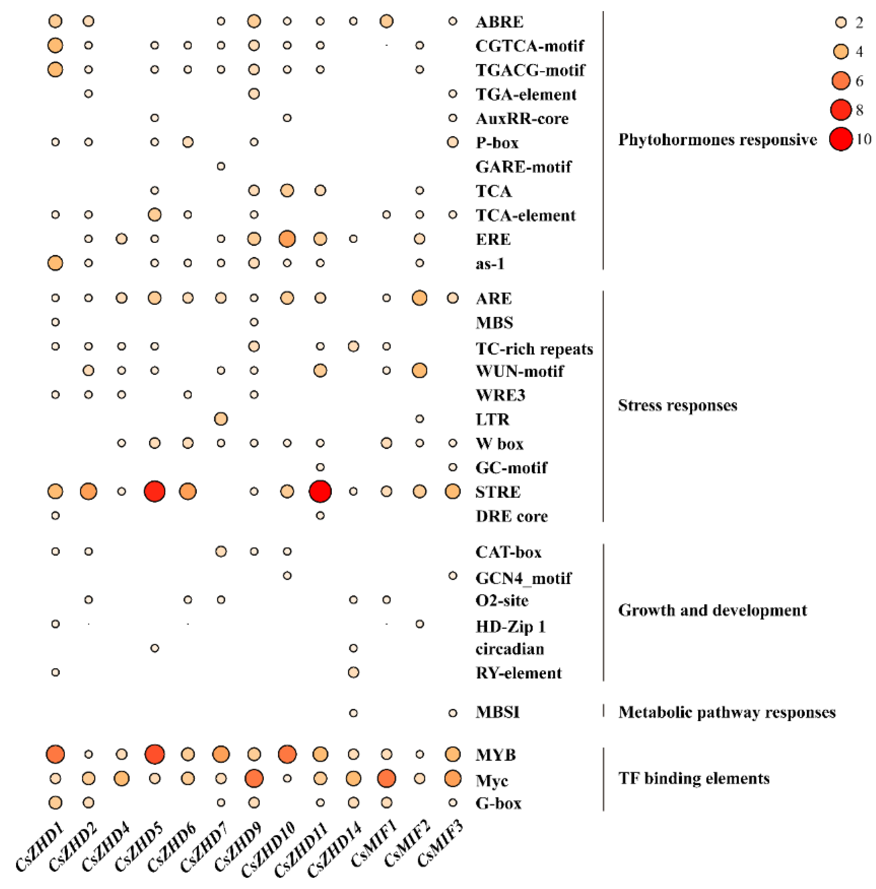 Ijms 25 04408 g004 Ijms 25 04408 g004
