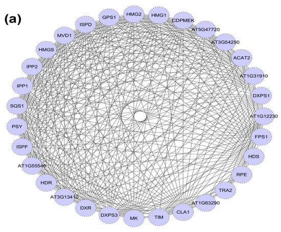 Ijms Free Full Text Functional Characterization Of Pmdxr A