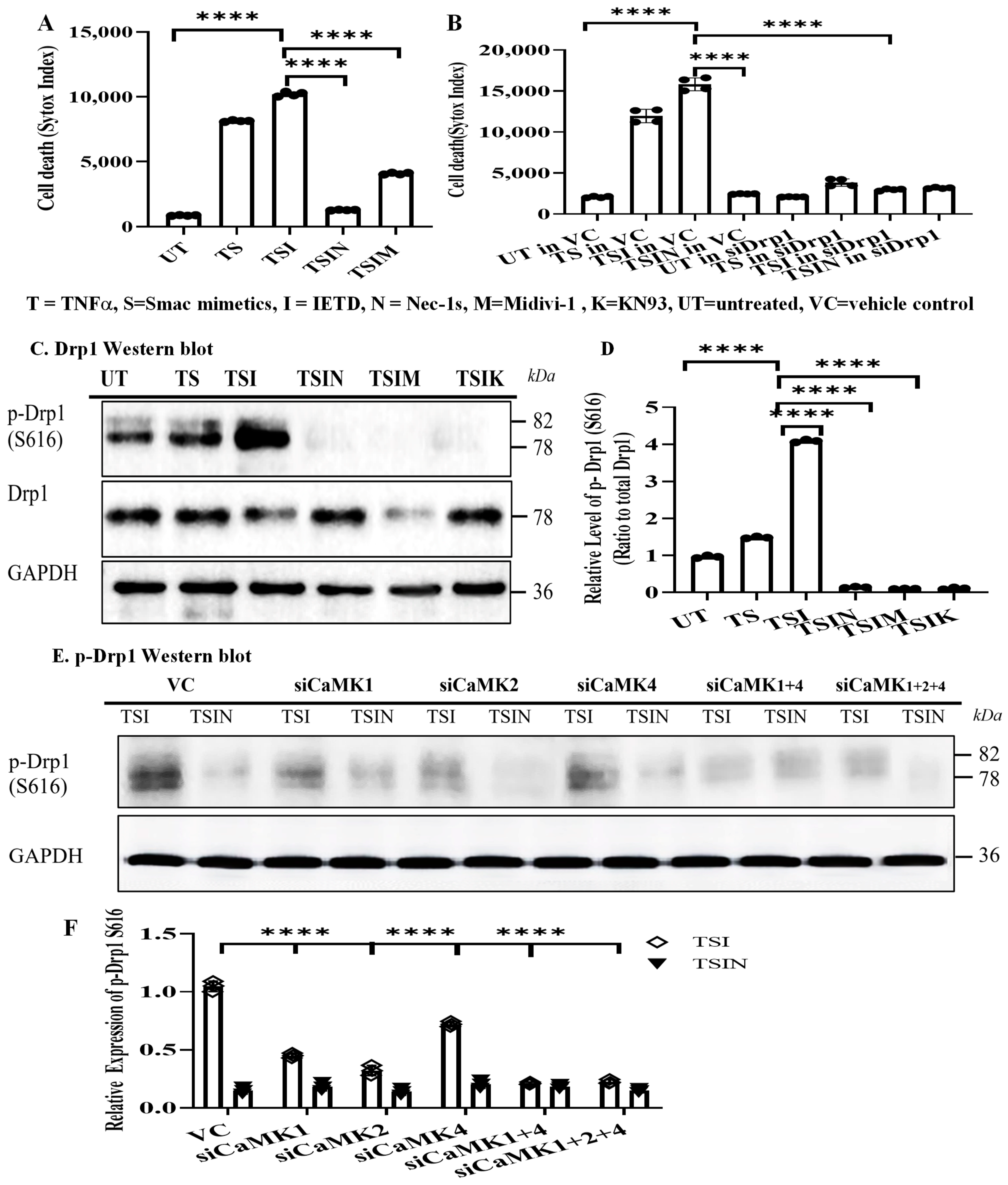 Ijms 25 04428 g004 Ijms 25 04428 g004