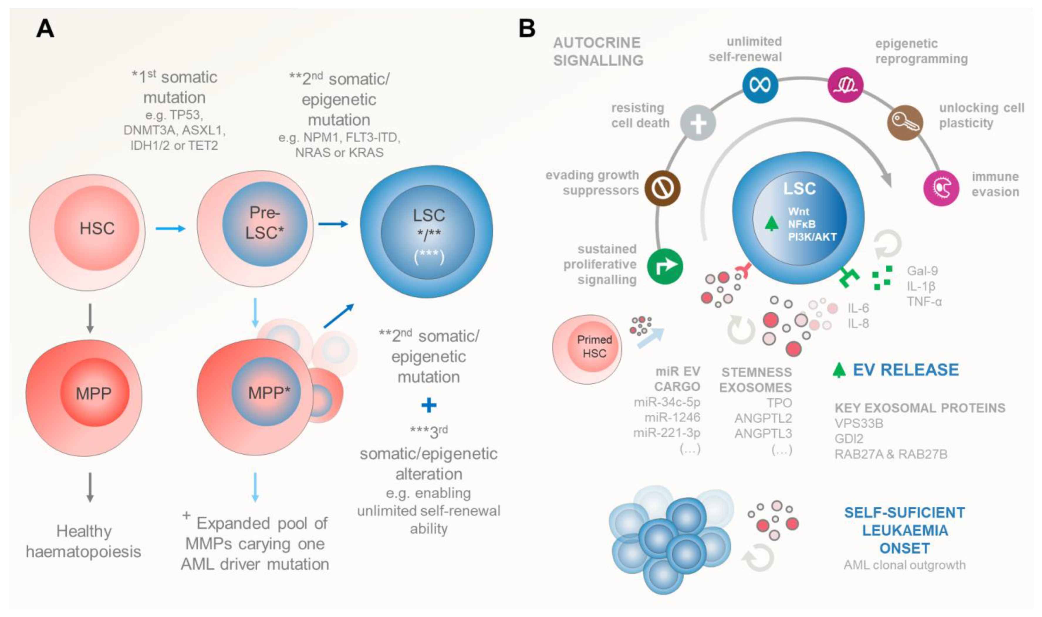 Ijms 25 04430 g002 Ijms 25 04430 g002