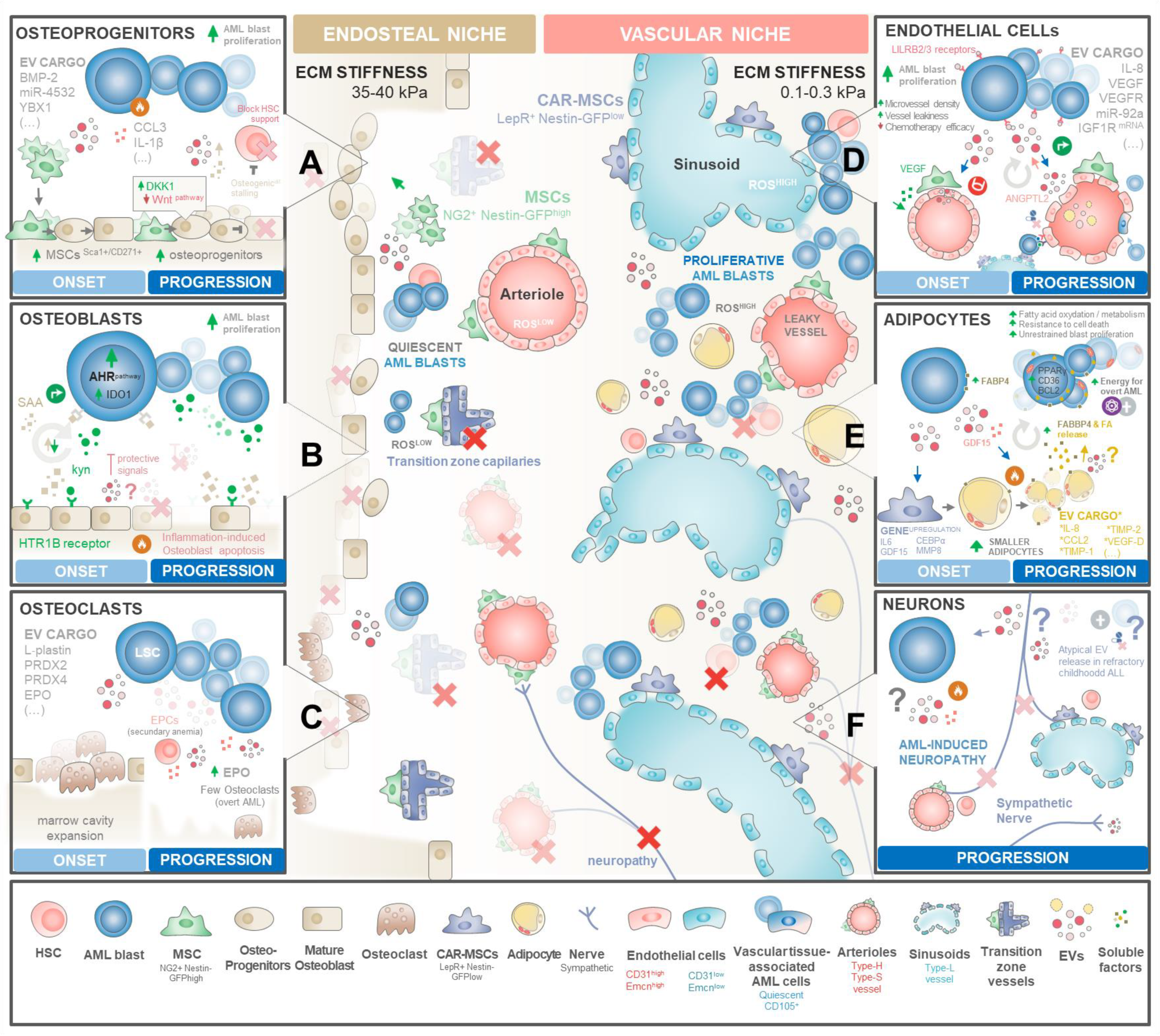 Ijms 25 04430 g003 Ijms 25 04430 g003