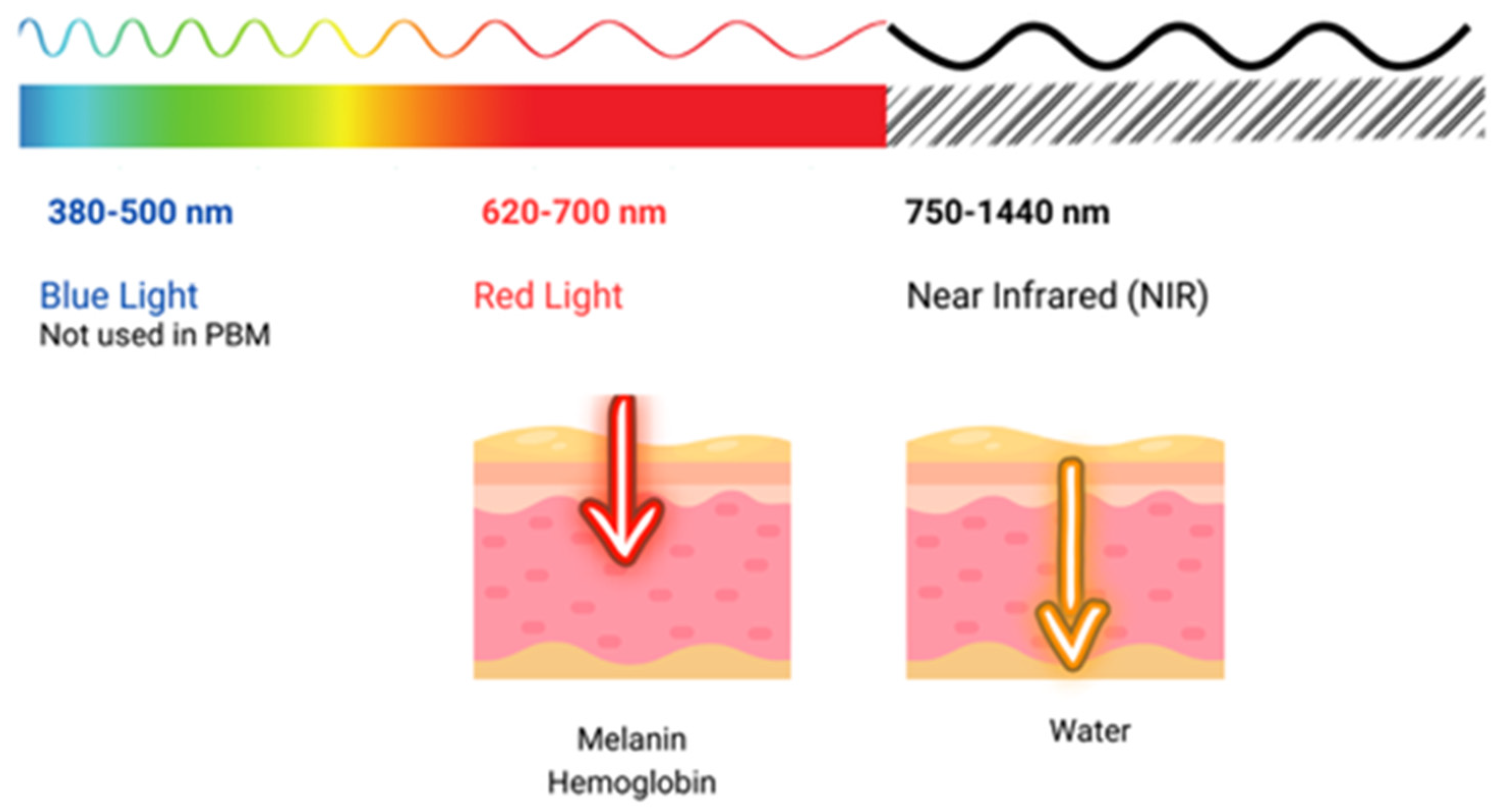 IJMS | Free Full-Text | Unlocking the Power of Light on the Skin: A  Comprehensive Review on Photobiomodulation