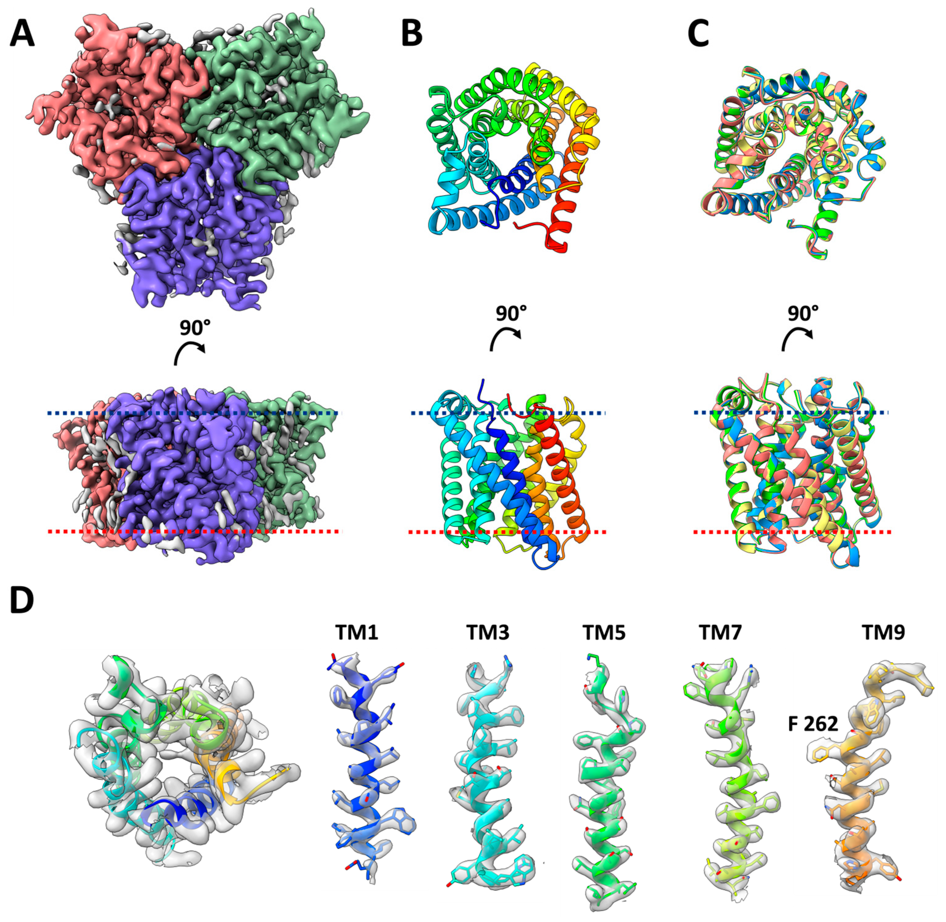 Ijms 25 04528 g001 Ijms 25 04528 g001