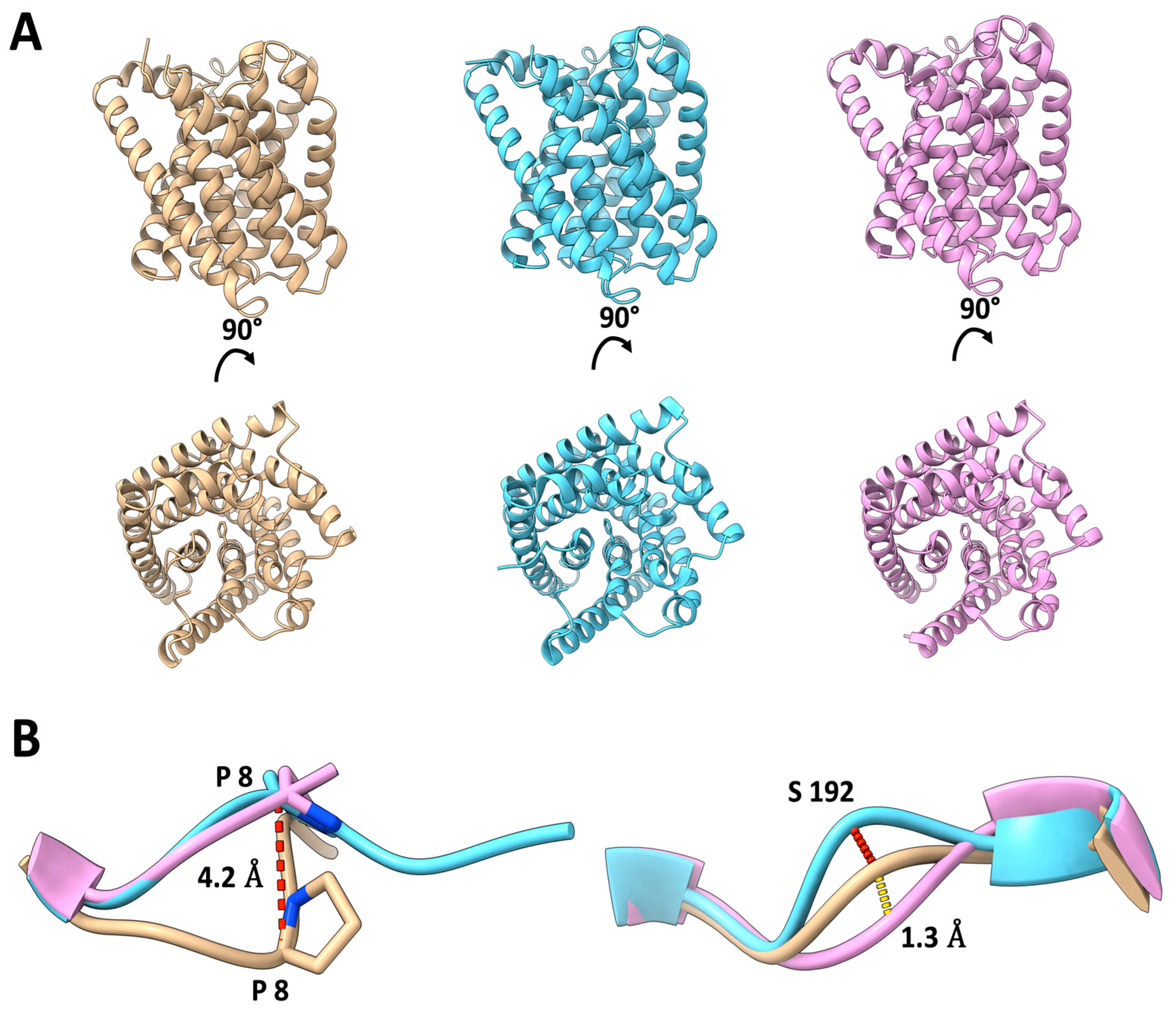 Ijms 25 04528 g002 Ijms 25 04528 g002