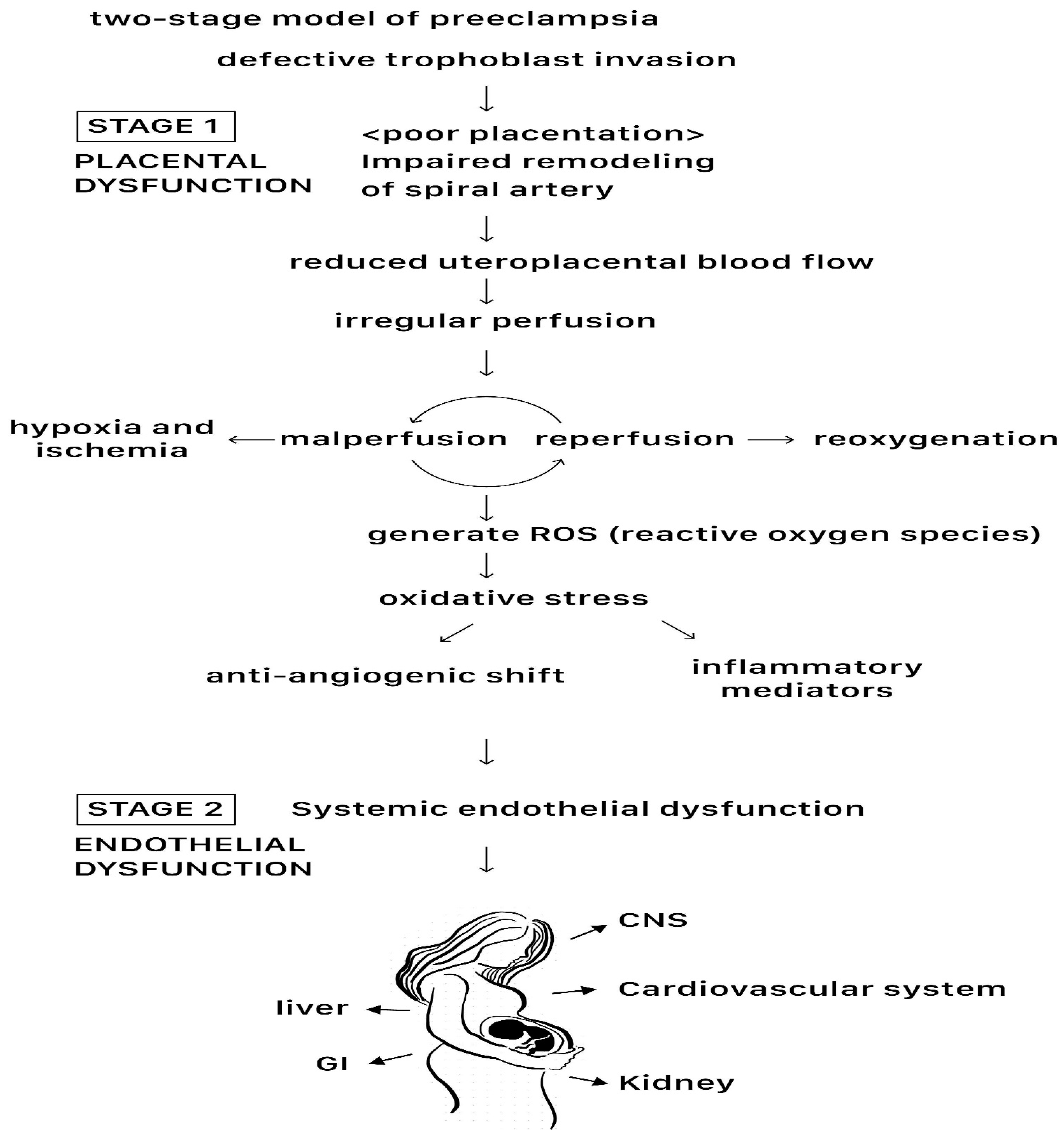 Ijms 25 04532 g002 Ijms 25 04532 g002