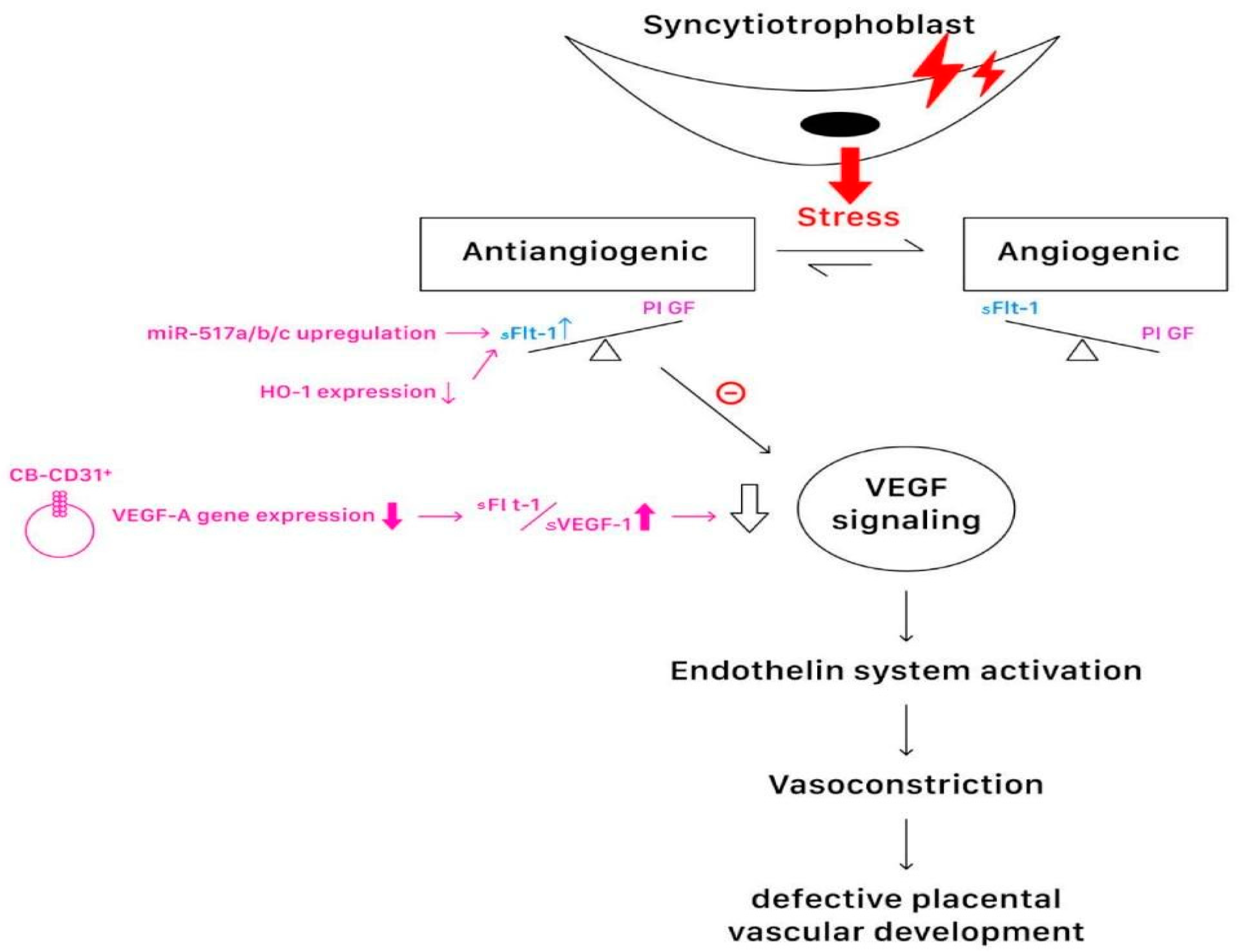 Ijms 25 04532 g004 Ijms 25 04532 g004