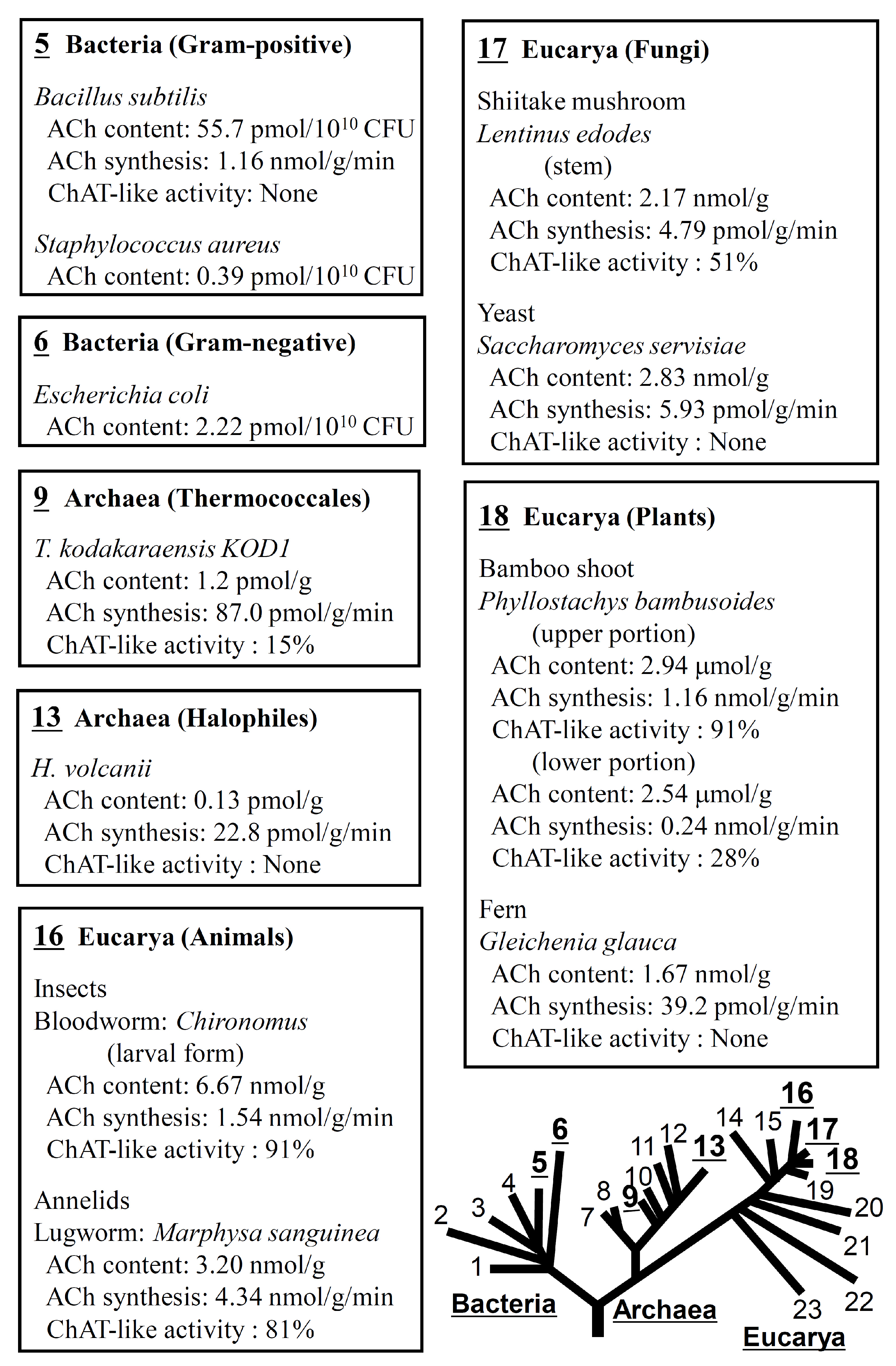 Ijms 25 04564 g001 Ijms 25 04564 g001