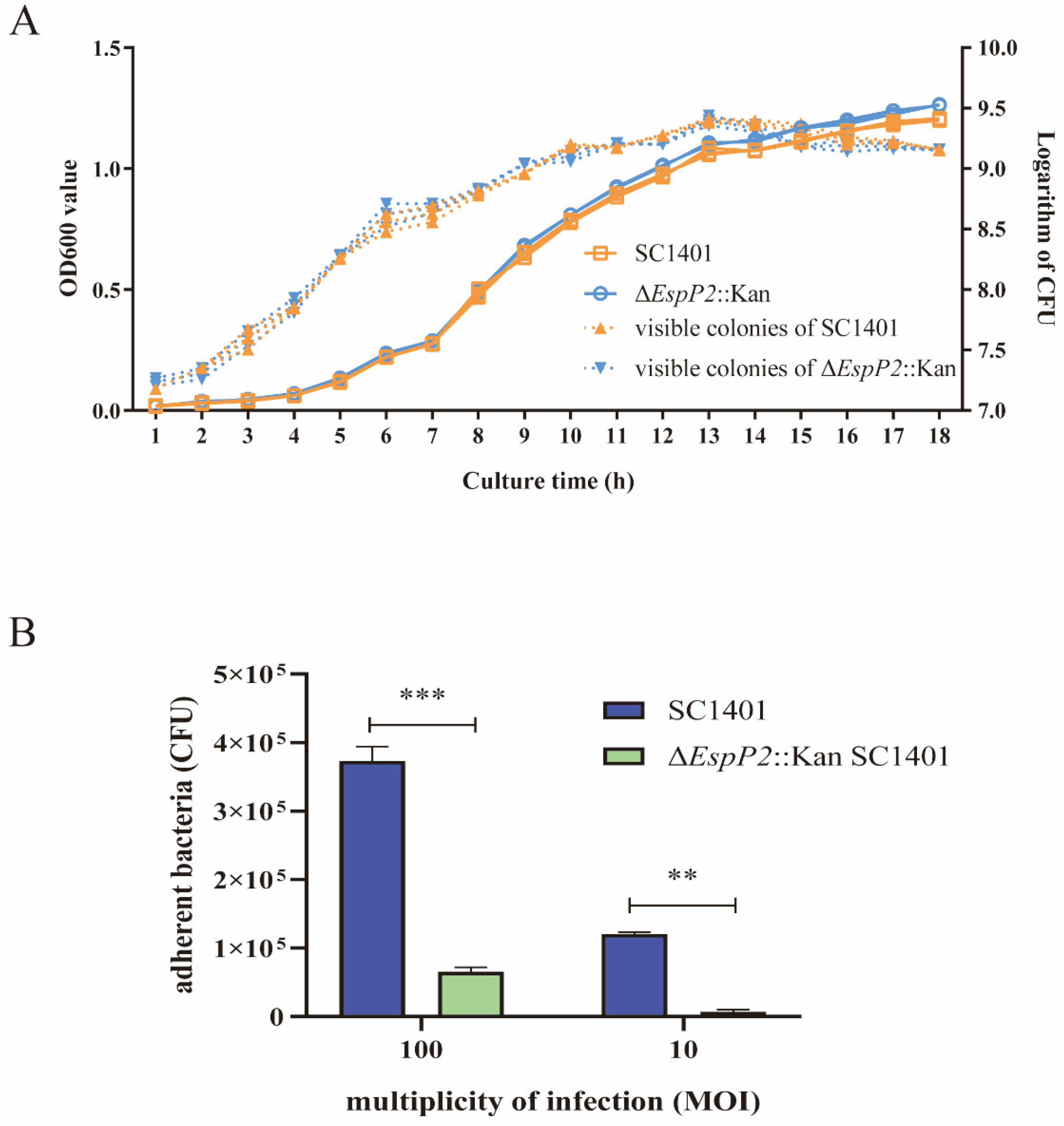 Ijms 25 04570 g002 Ijms 25 04570 g002