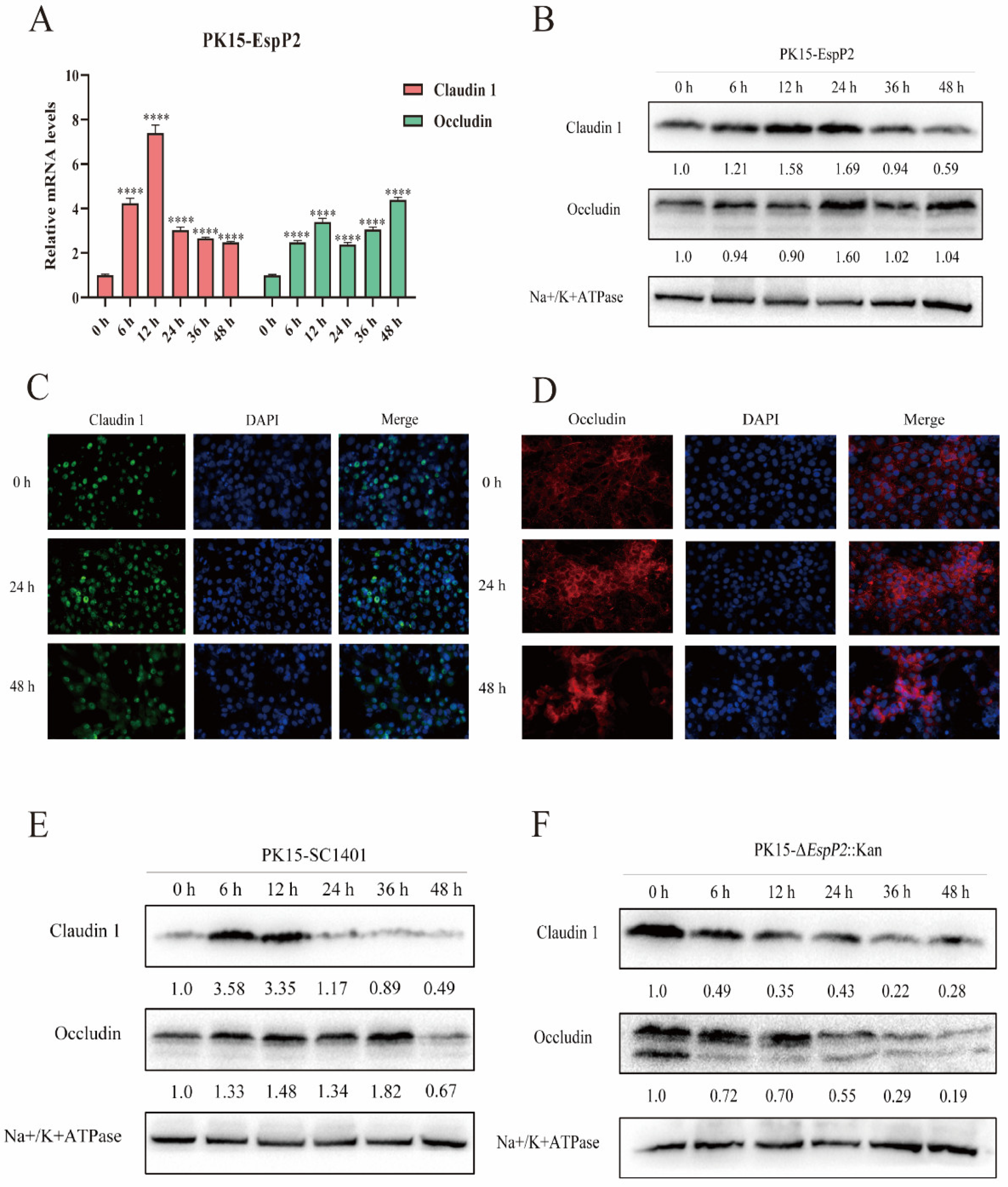 Ijms 25 04570 g003 Ijms 25 04570 g003