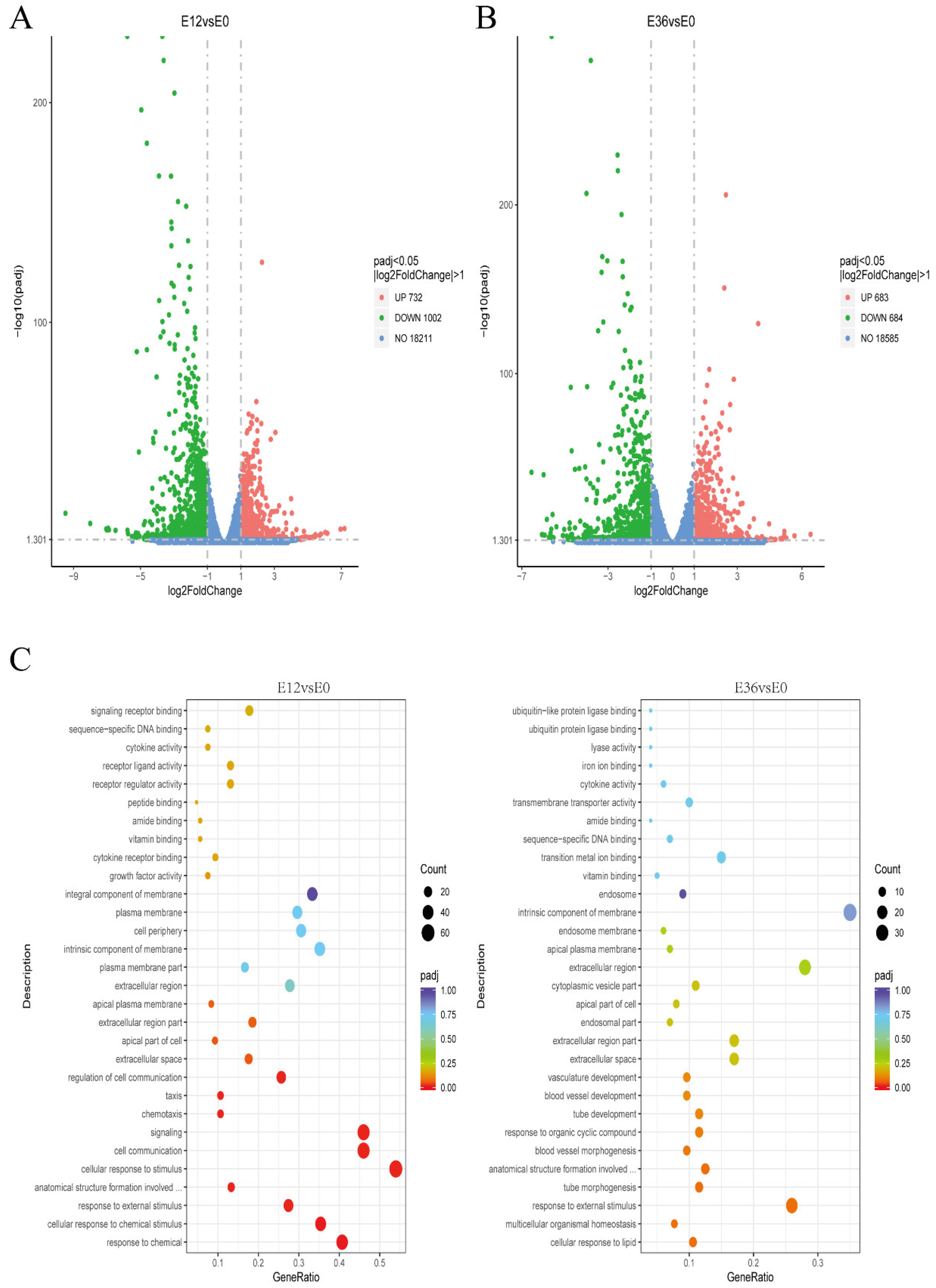 Ijms 25 04570 g006 Ijms 25 04570 g006