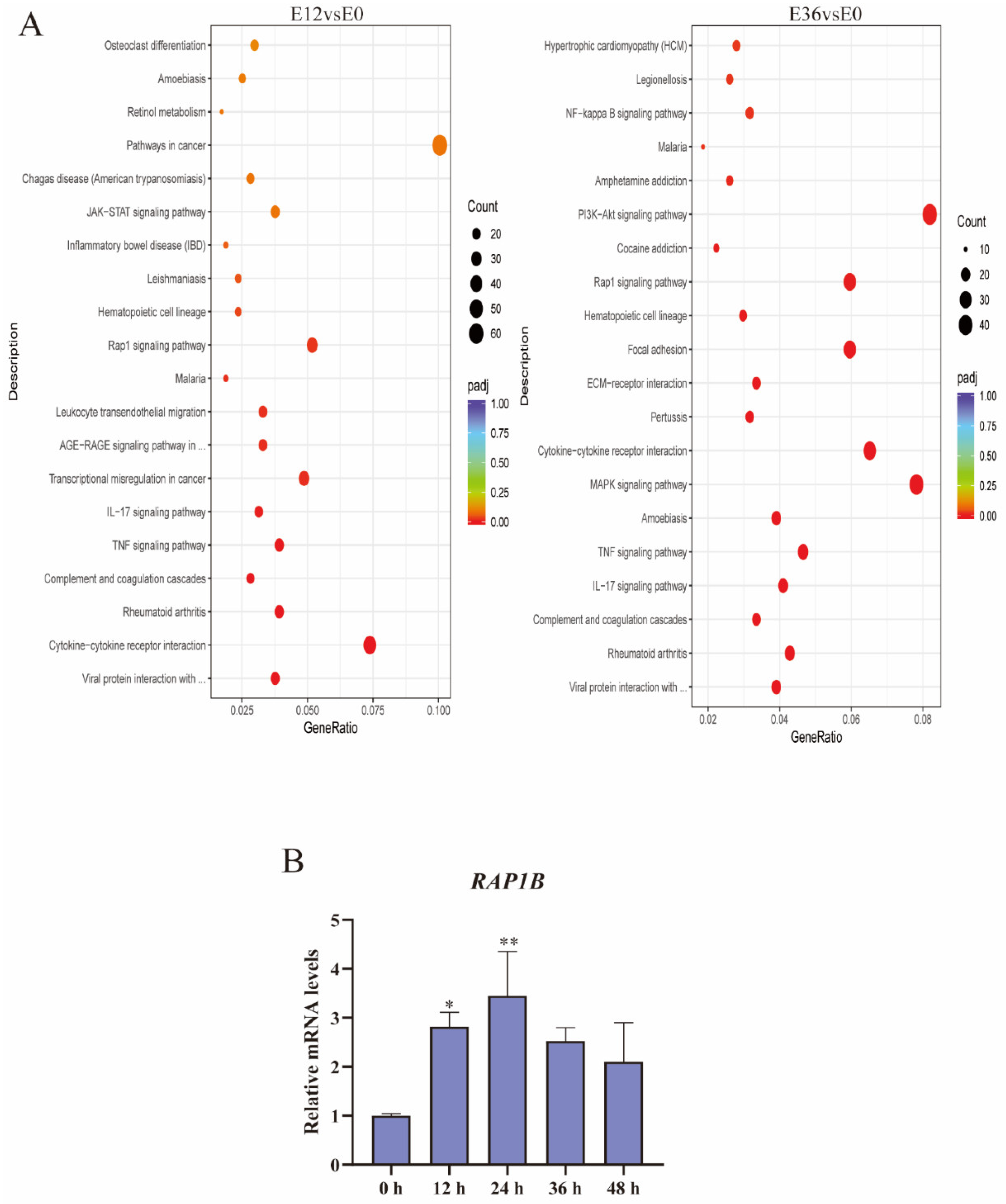 Ijms 25 04570 g007 Ijms 25 04570 g007