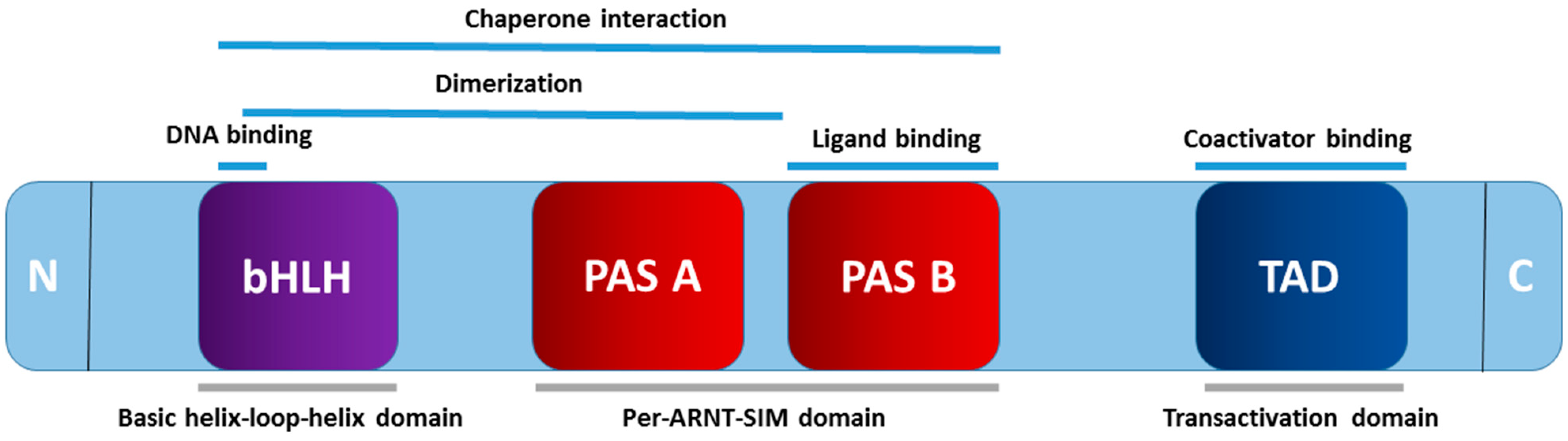 Ijms 25 04599 g001 Ijms 25 04599 g001