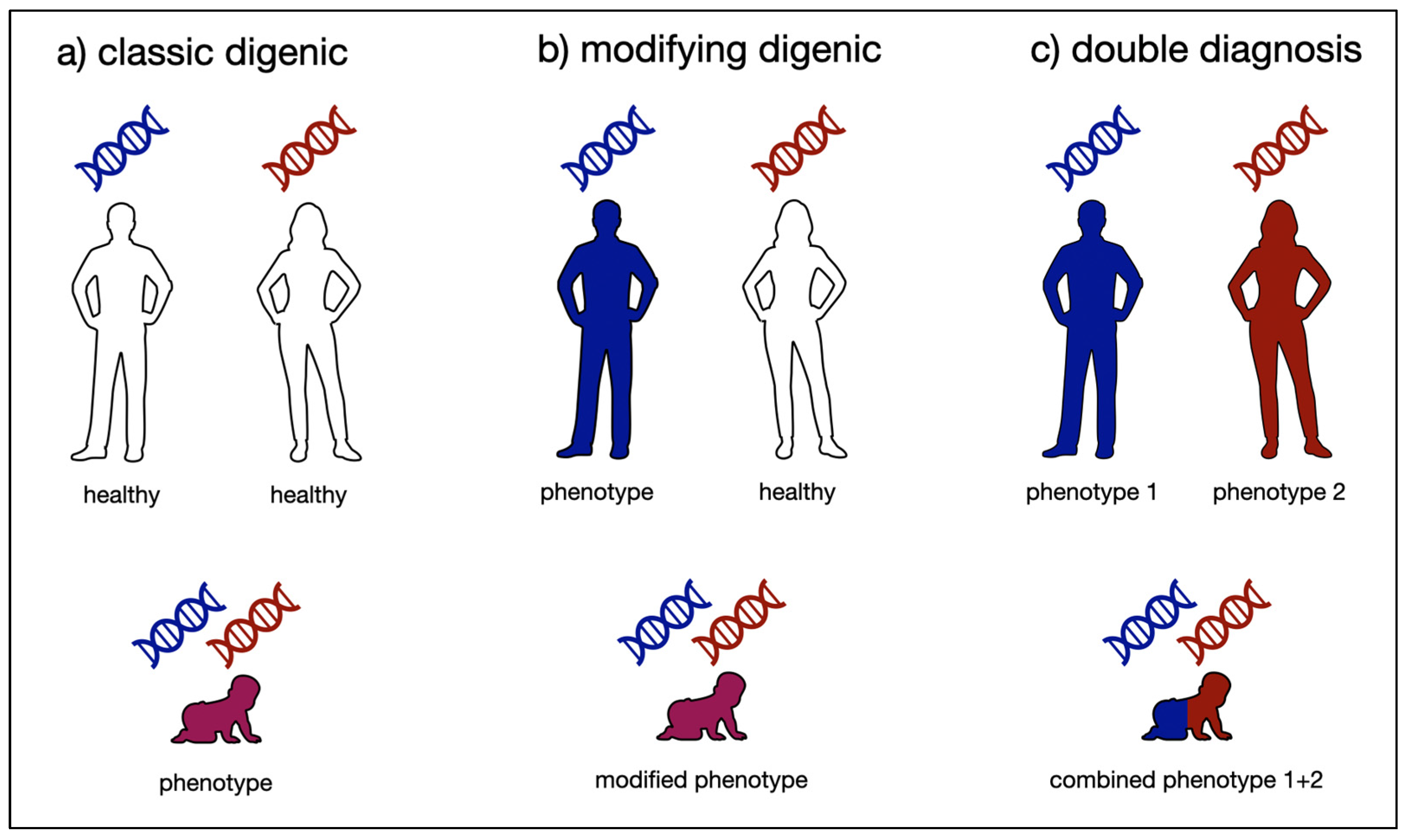 Ijms Free Full Text Digenic Inheritance In Rare Disorders And