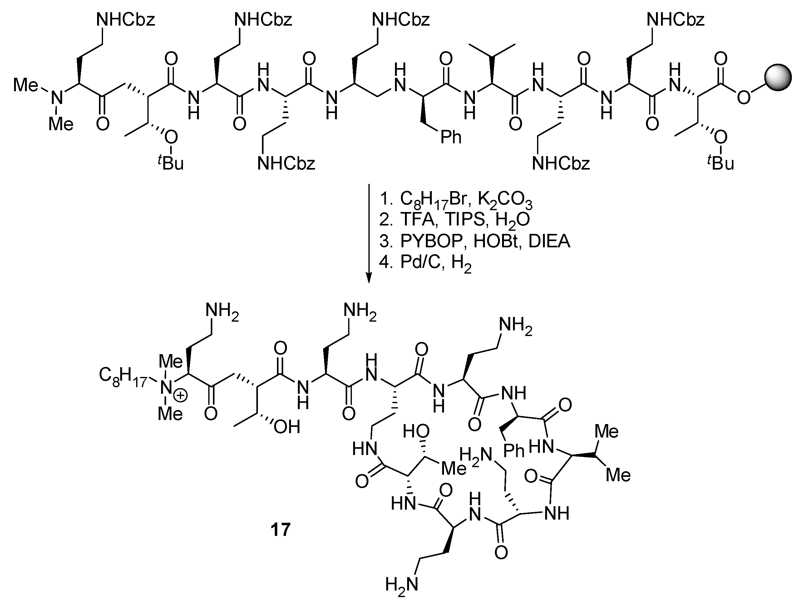 Ijms 25 04649 sch010 Ijms 25 04649 sch010