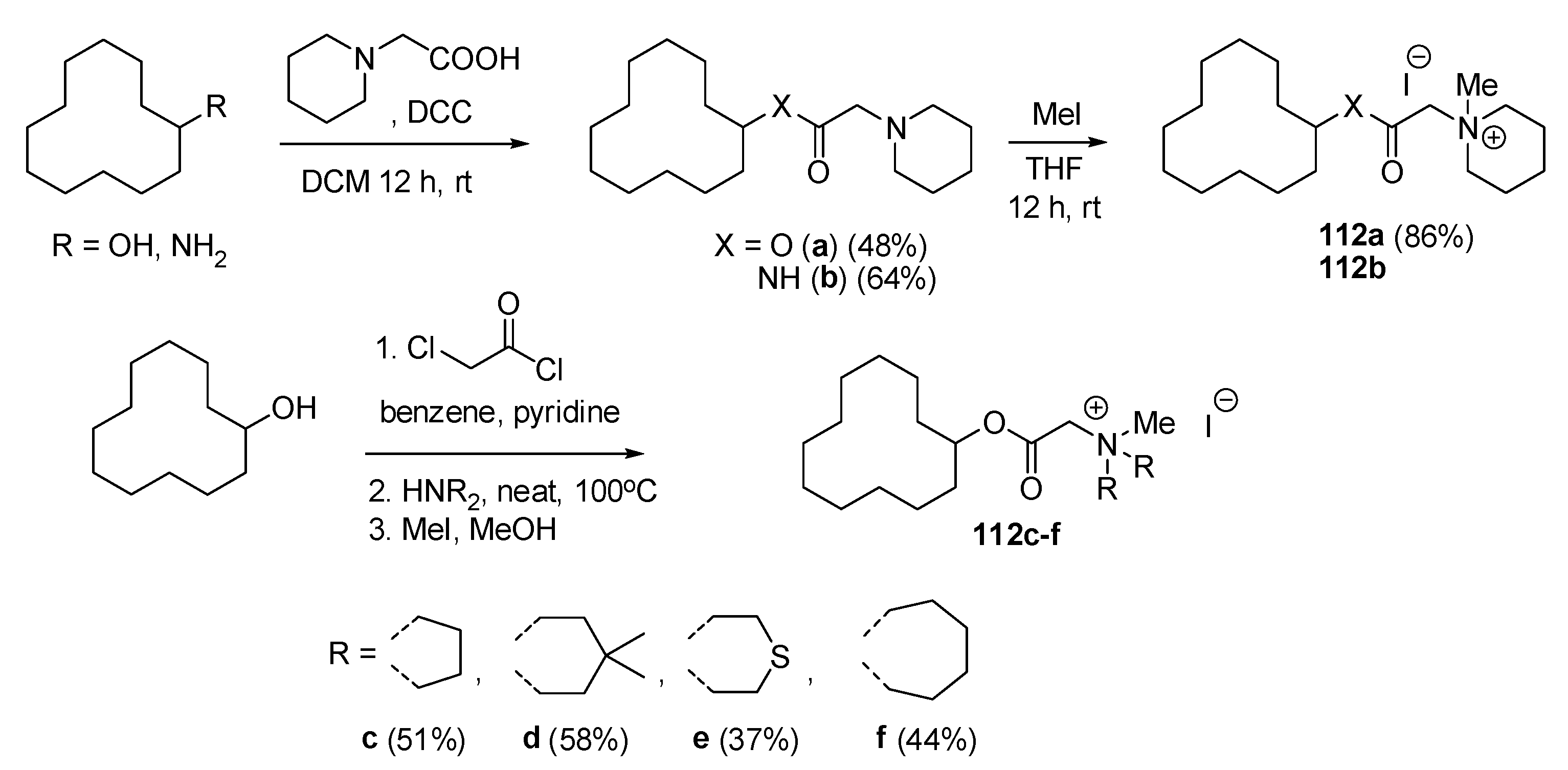 Ijms 25 04649 sch072 Ijms 25 04649 sch072