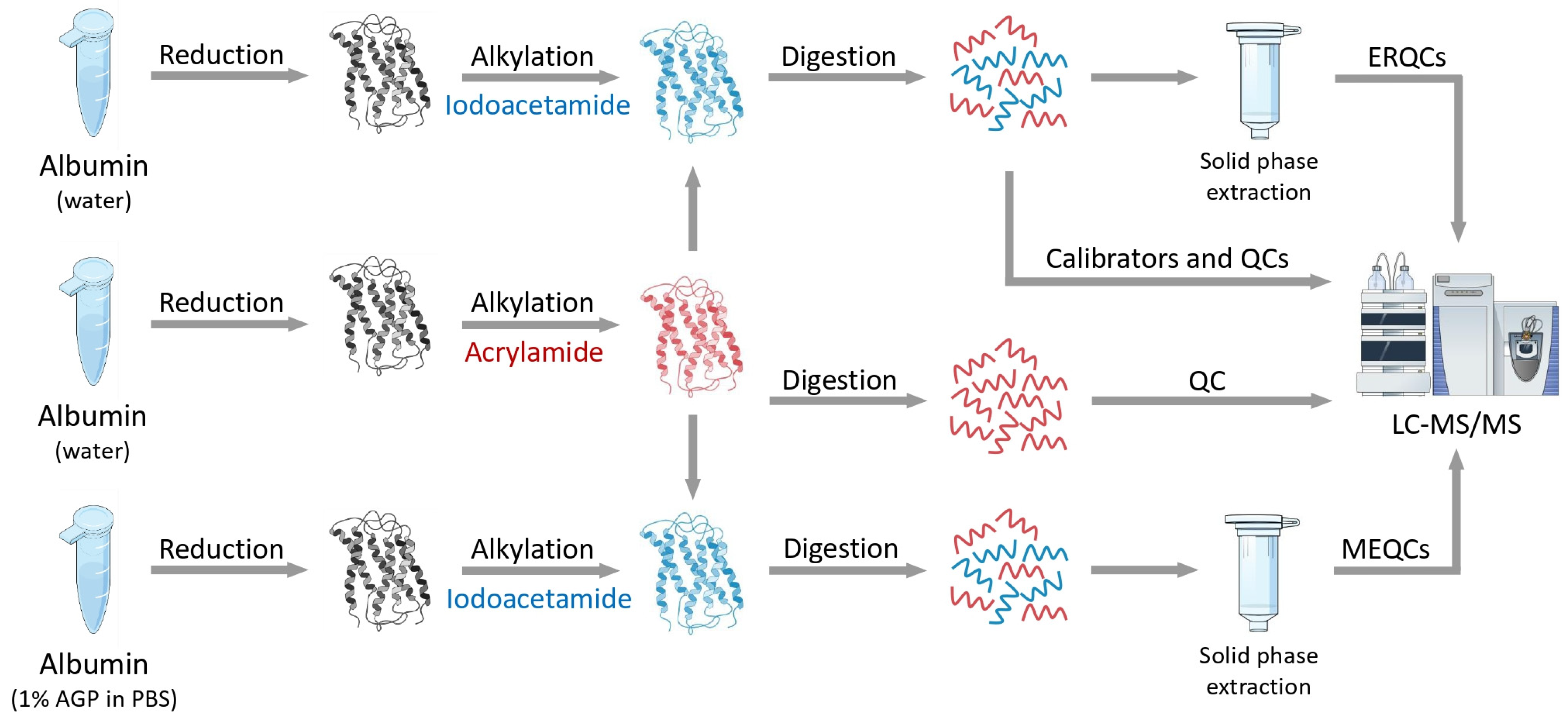 Ijms 25 04656 g001 Ijms 25 04656 g001