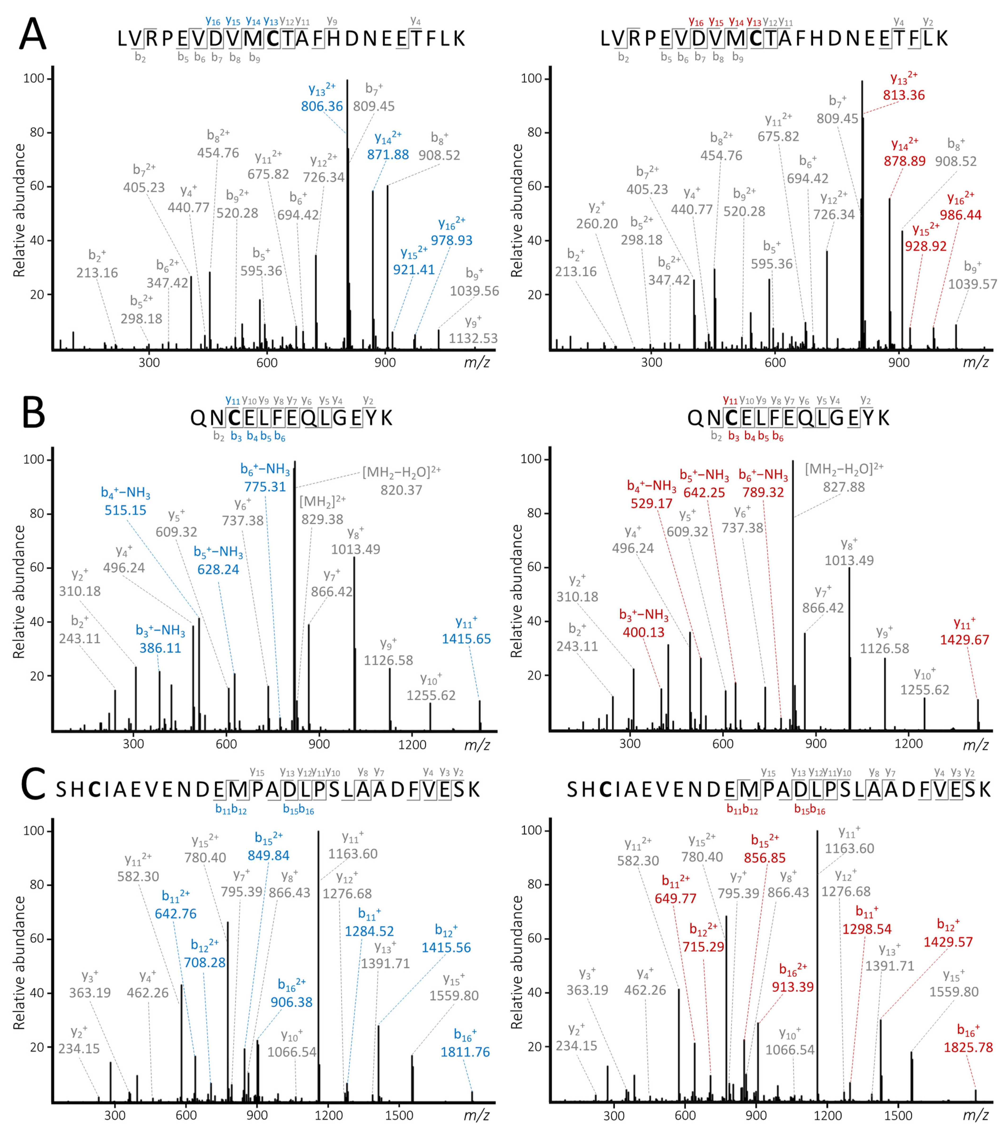 Ijms 25 04656 g005 Ijms 25 04656 g005