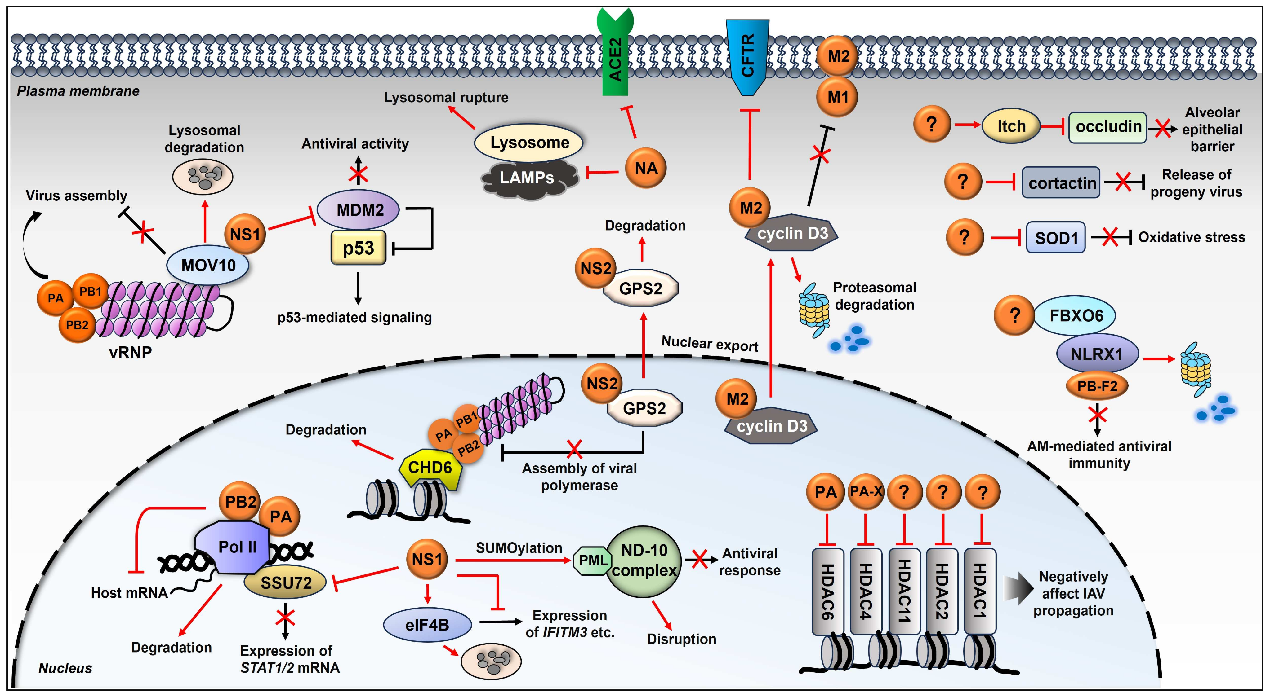 Ijms 25 04677 g003 Ijms 25 04677 g003