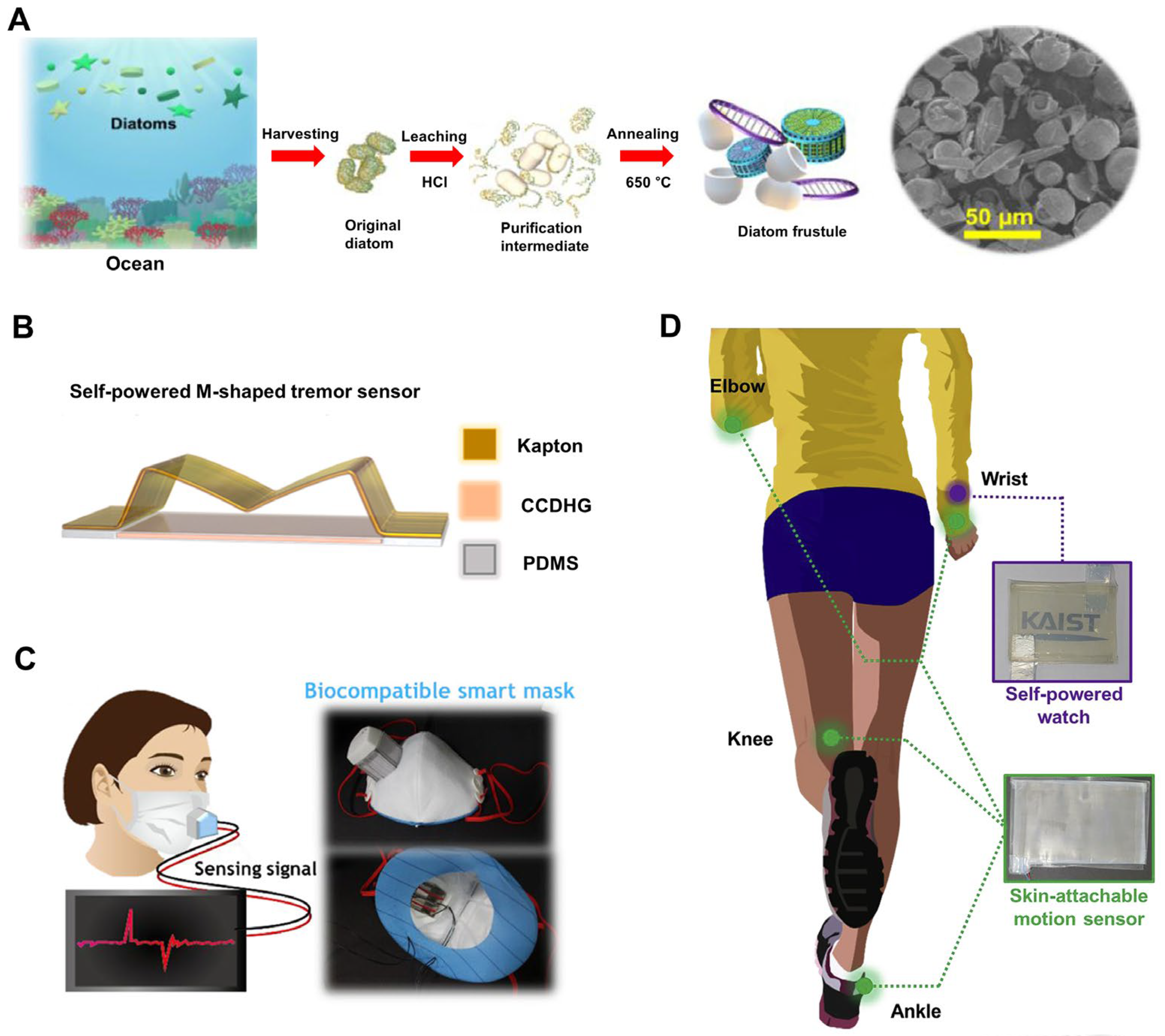 Ijms 25 04678 g001 Ijms 25 04678 g001