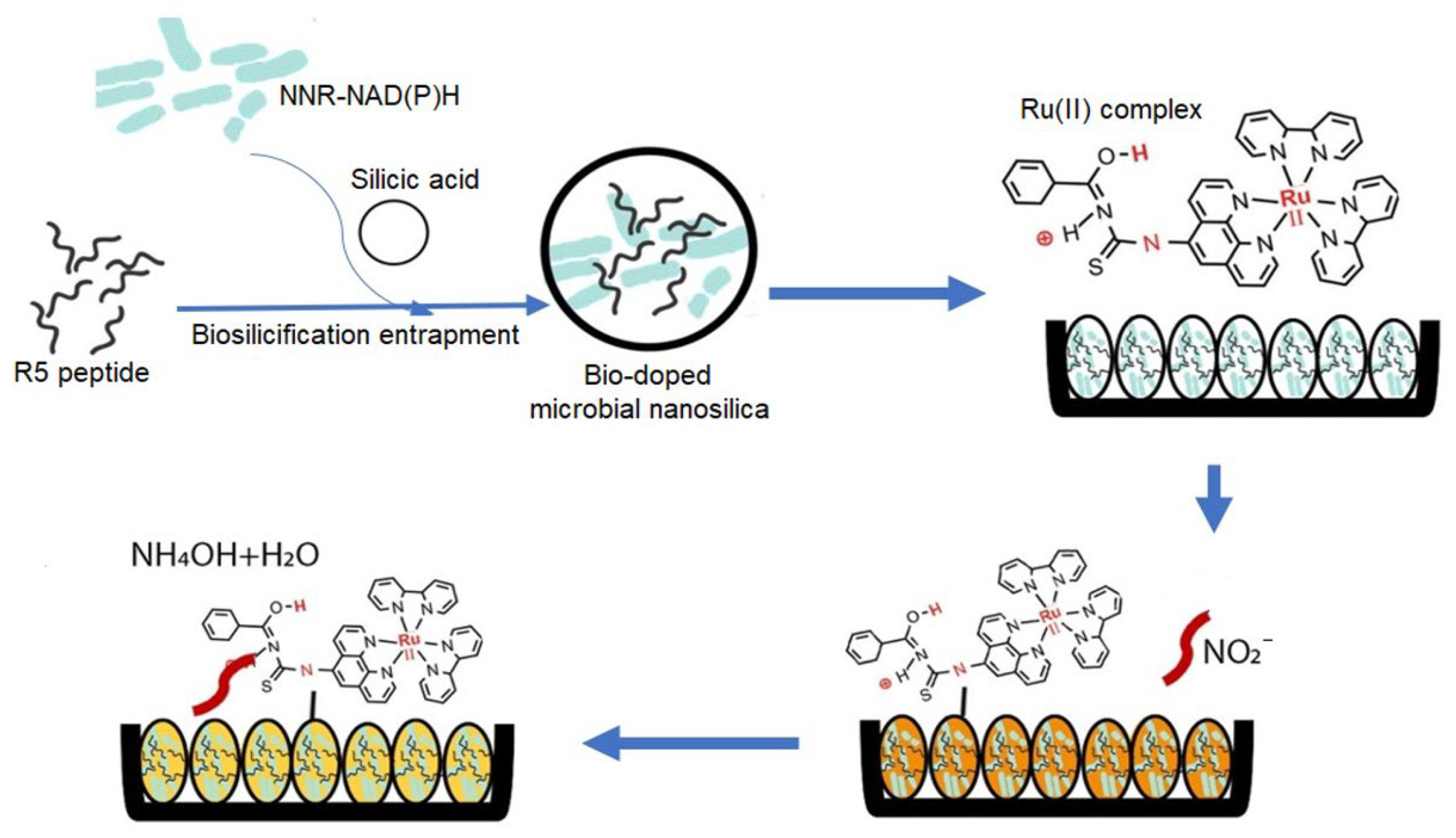 Ijms 25 04678 g004 Ijms 25 04678 g004