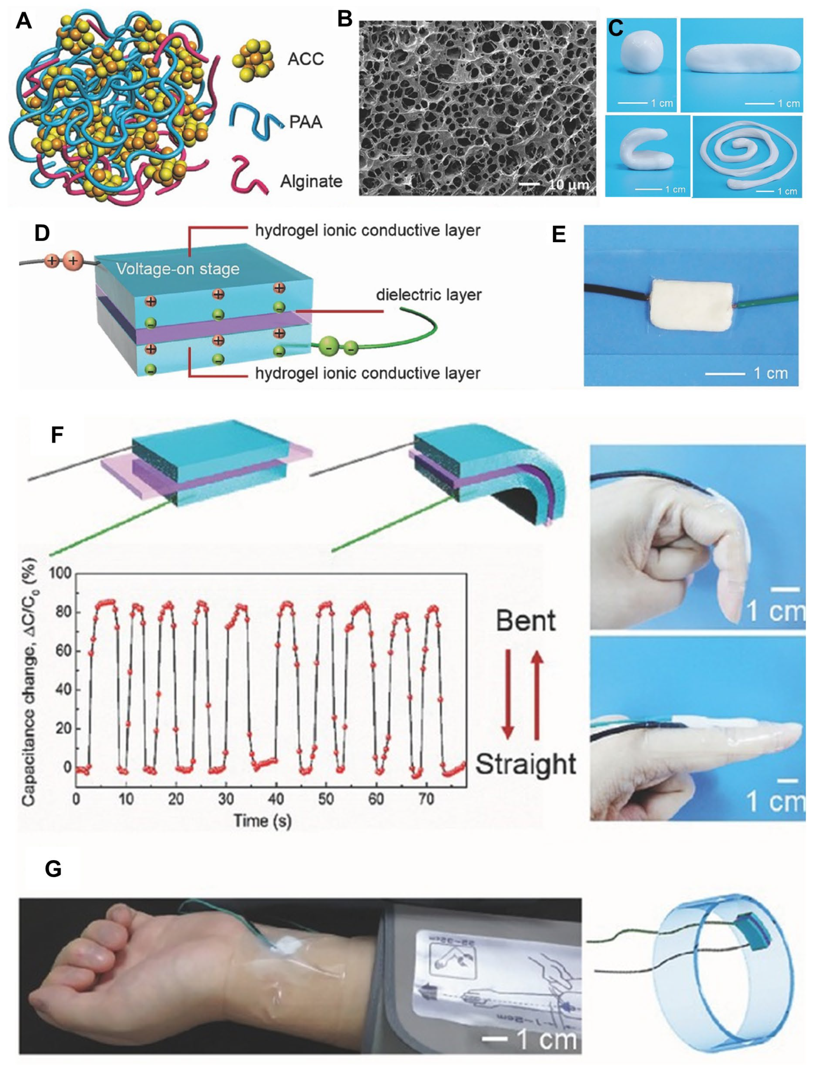 Ijms 25 04678 g006 Ijms 25 04678 g006