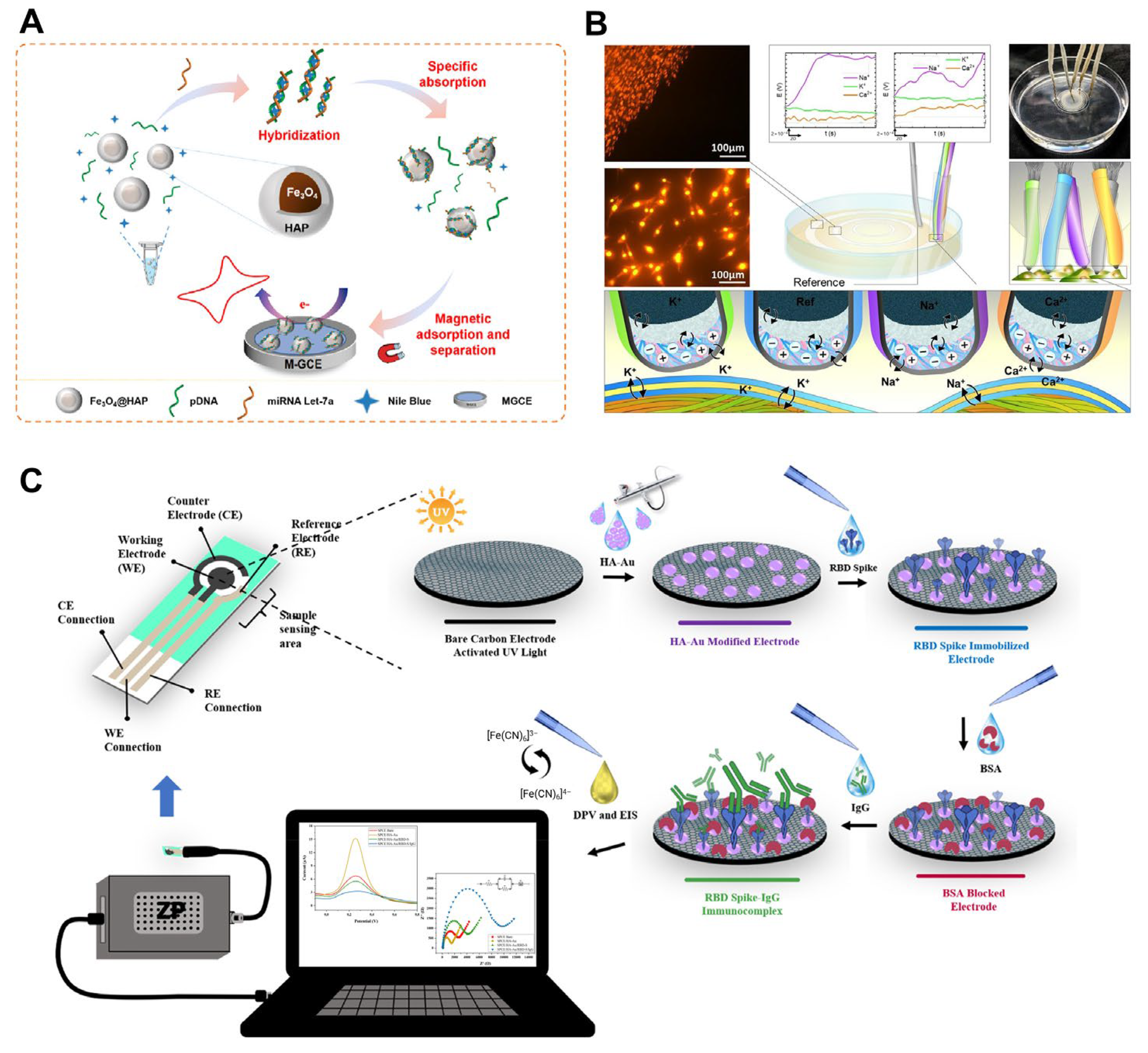 Ijms 25 04678 g009 Ijms 25 04678 g009