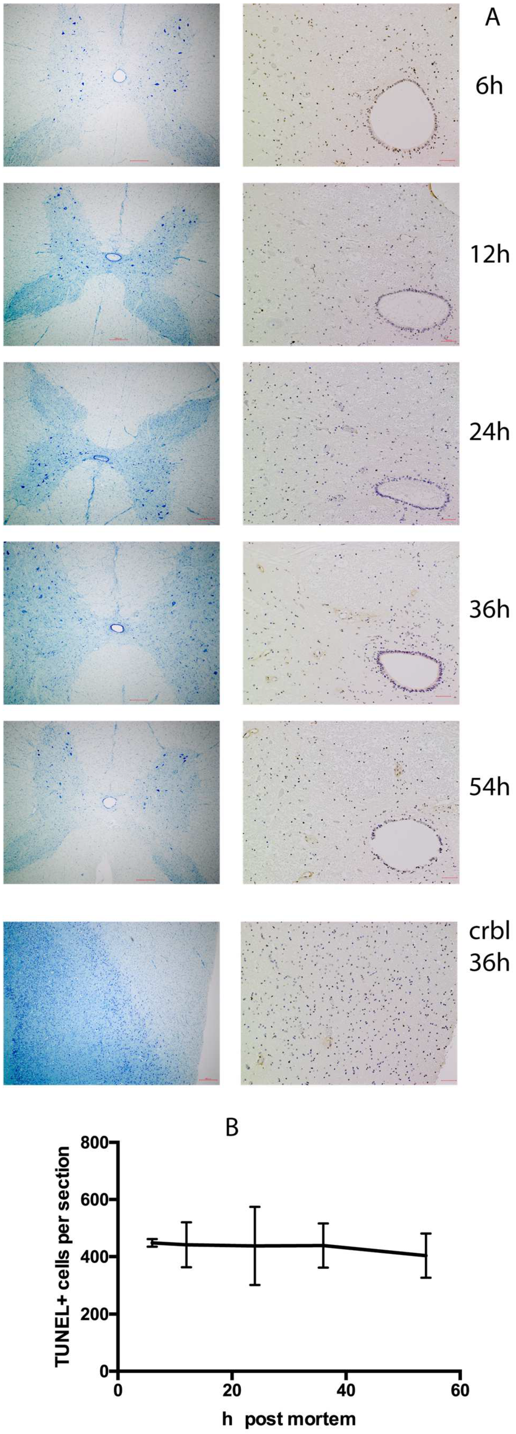 Ijms 25 04683 g001 Ijms 25 04683 g001