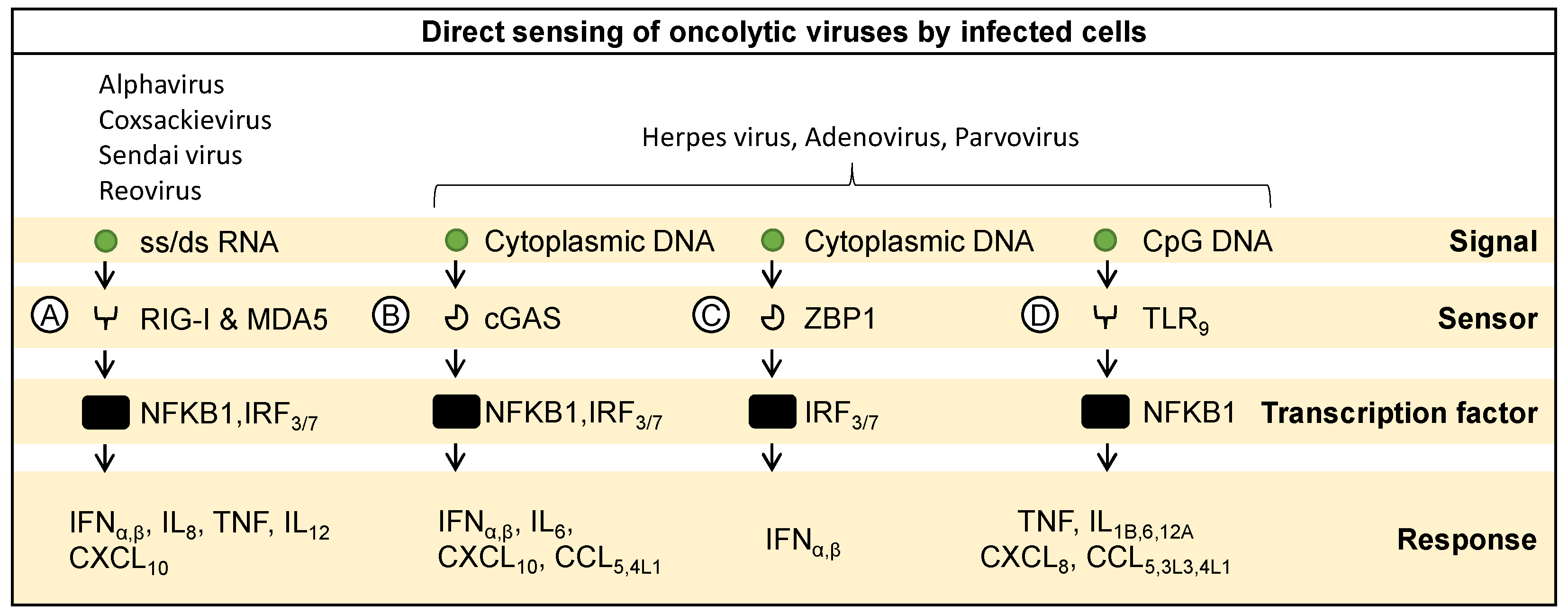 Ijms 25 04691 g001 Ijms 25 04691 g001