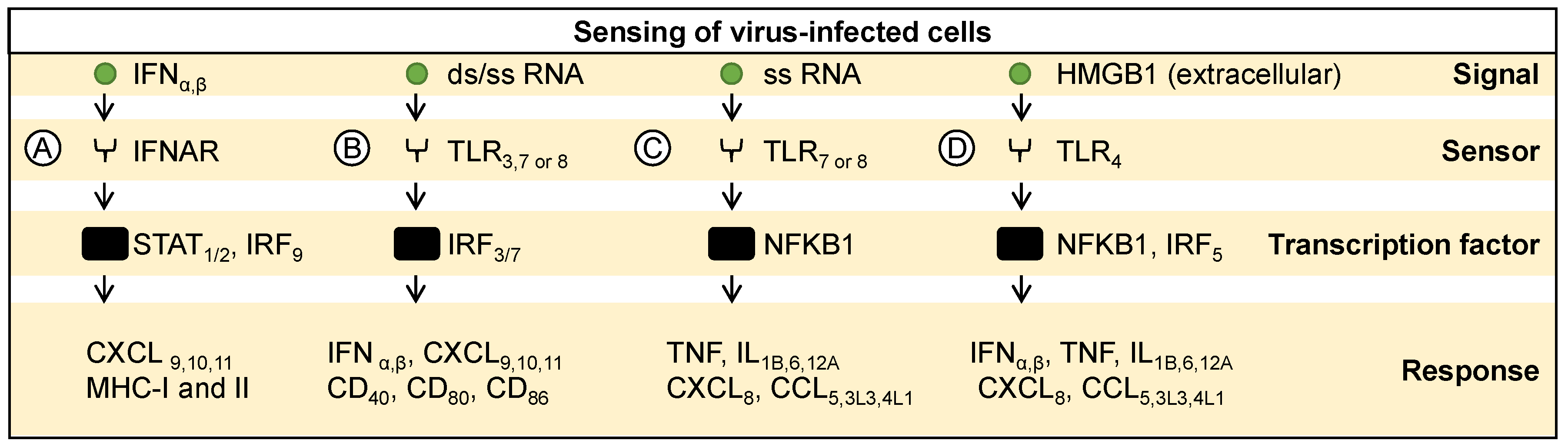 Ijms 25 04691 g002 Ijms 25 04691 g002