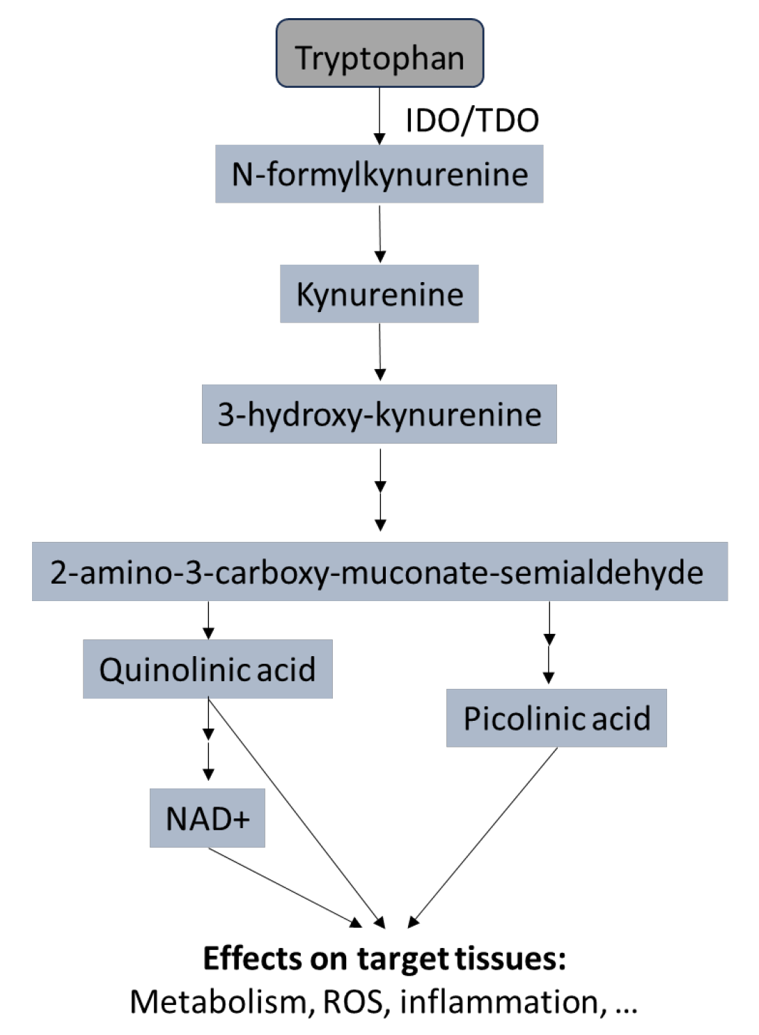 Ijms 25 04696 g002 Ijms 25 04696 g002