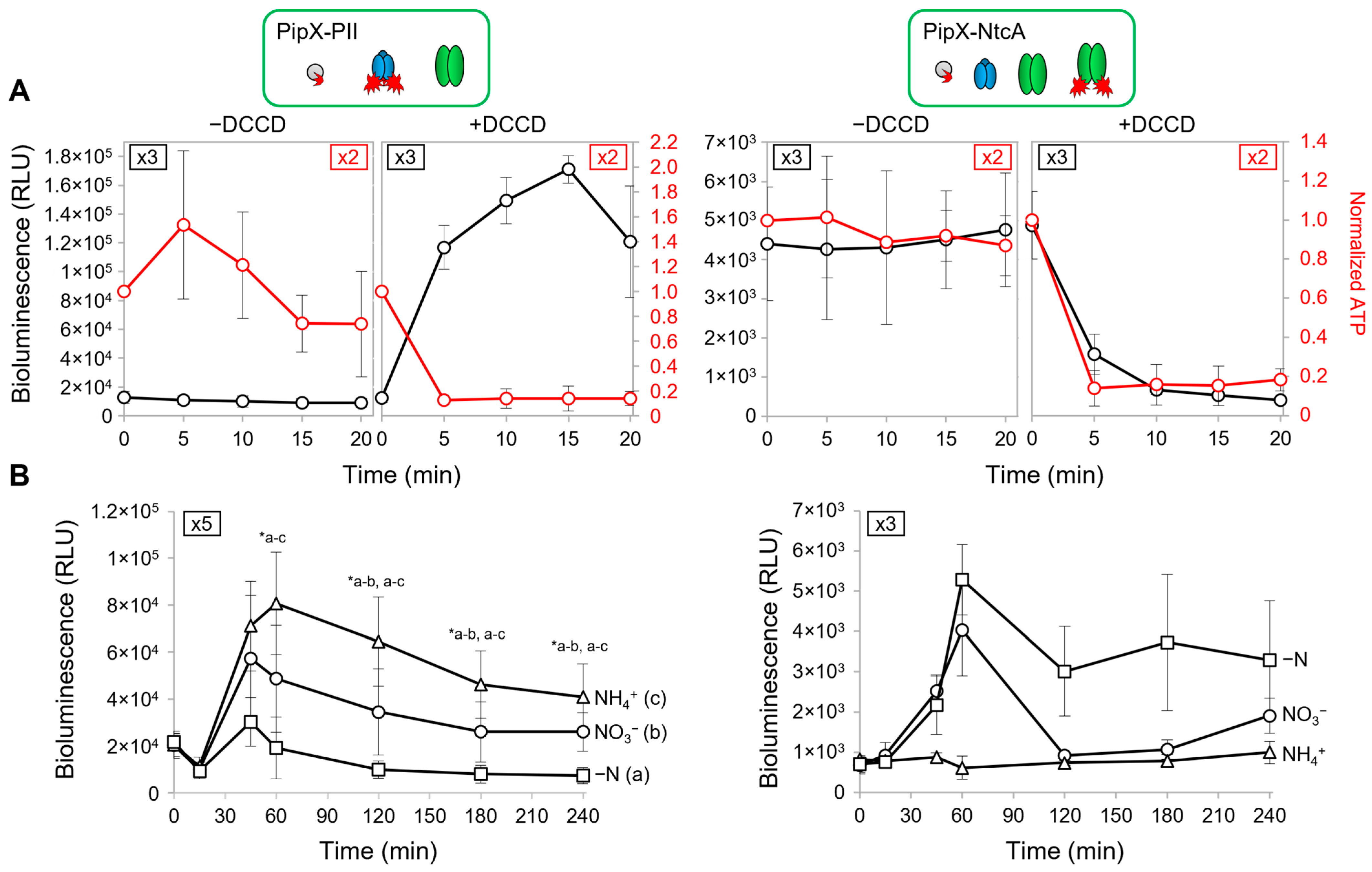 Ijms 25 04702 g003 Ijms 25 04702 g003