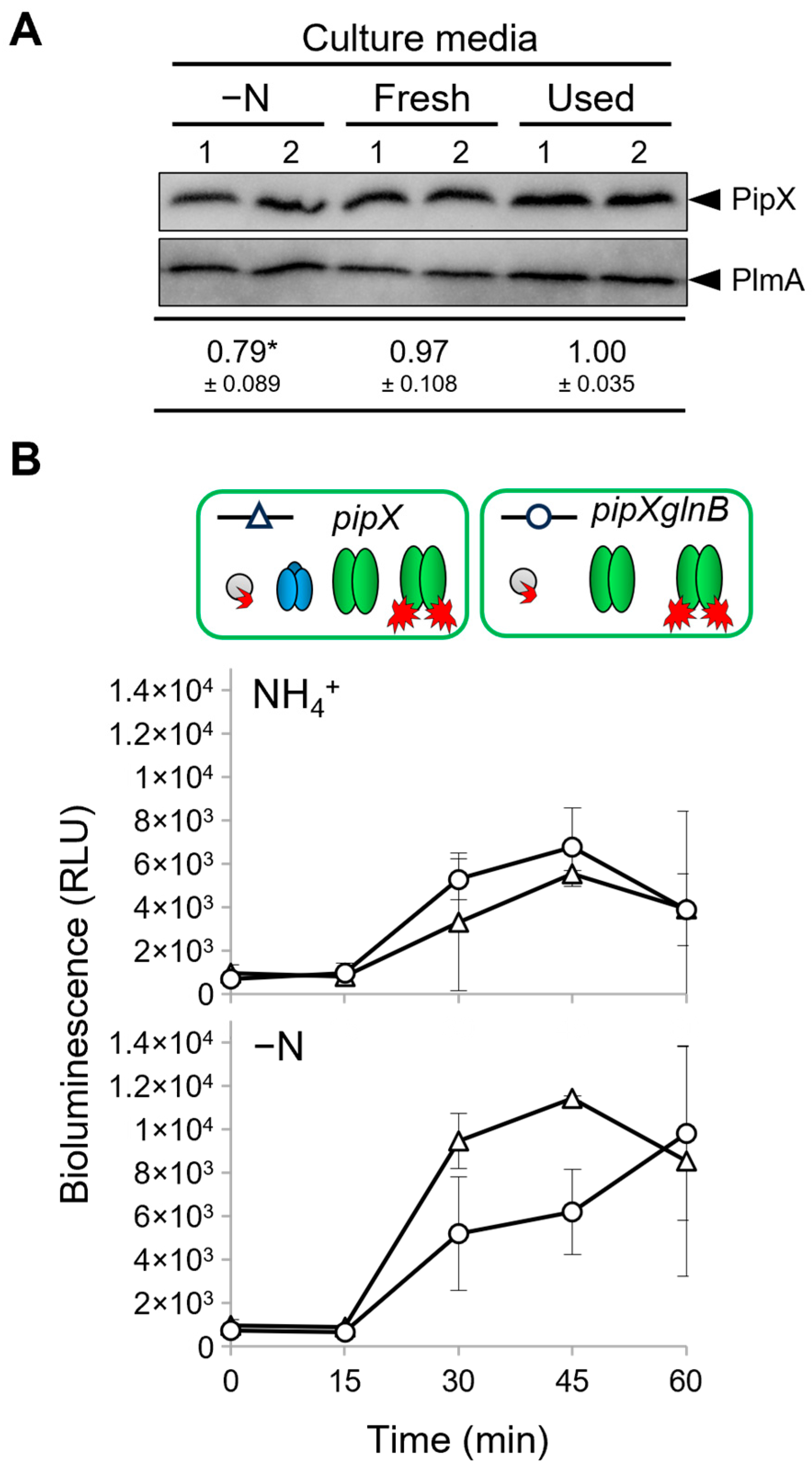Ijms 25 04702 g004 Ijms 25 04702 g004