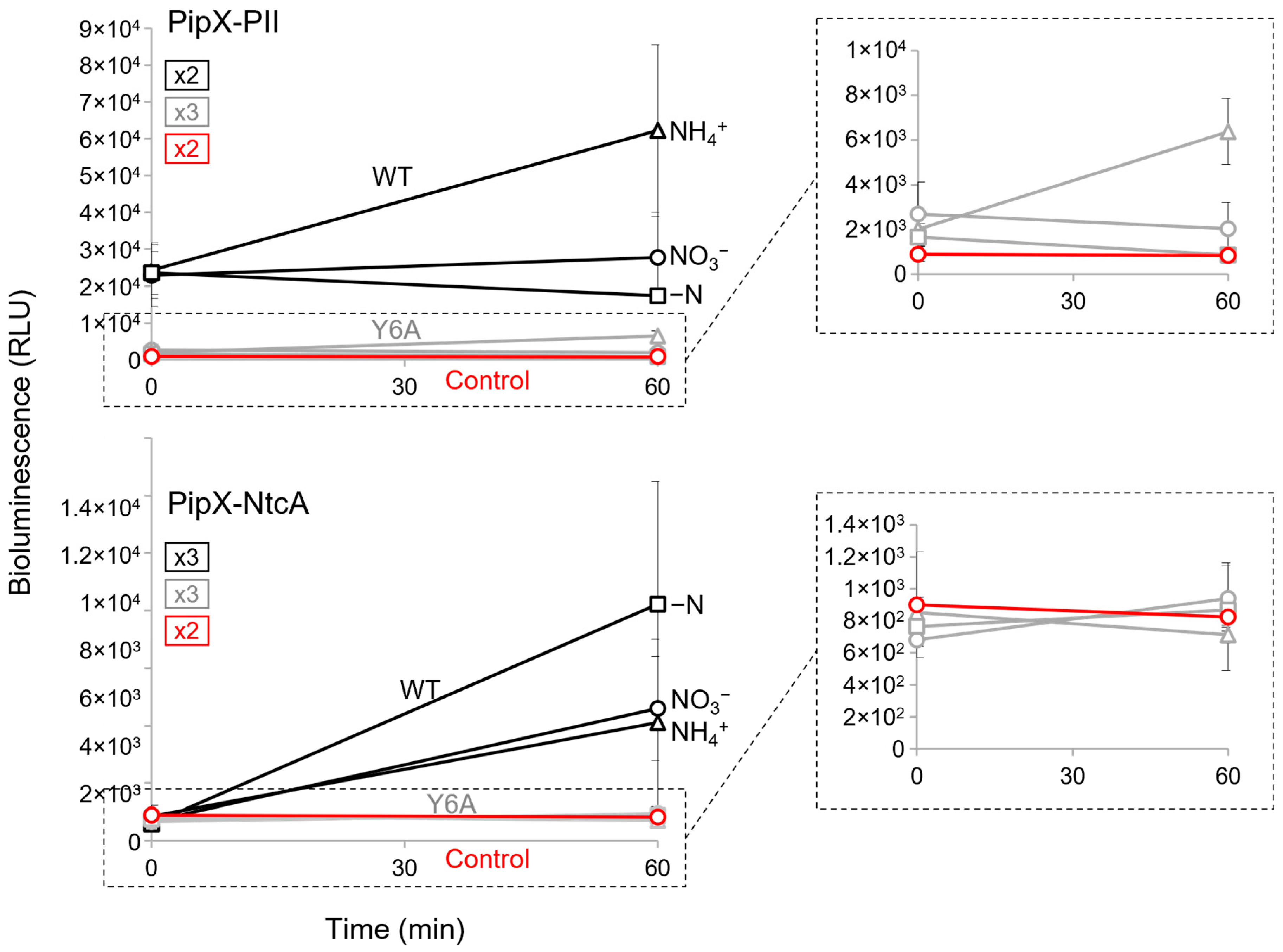 Ijms 25 04702 g005 Ijms 25 04702 g005