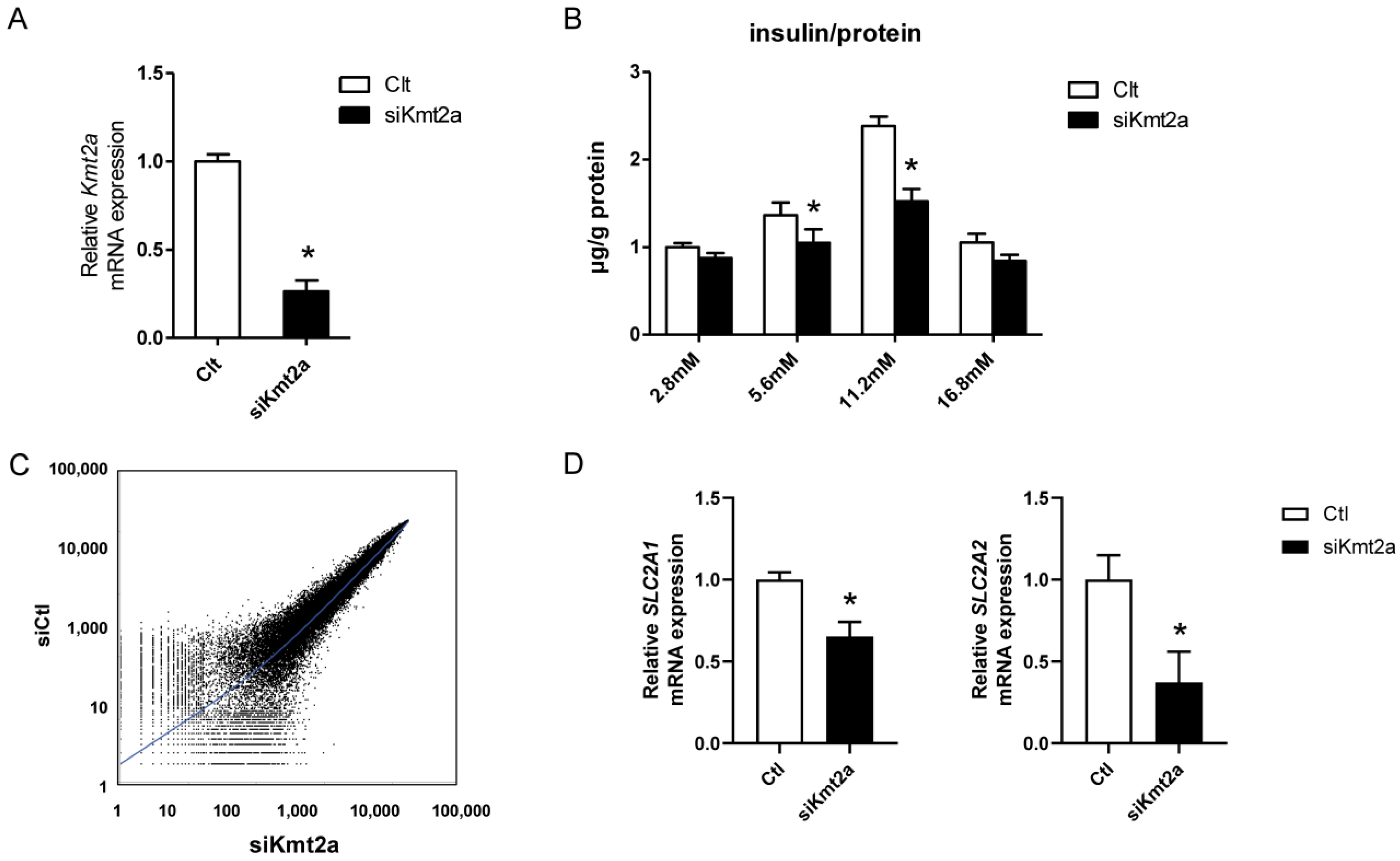 Ijms 25 04704 g001 Ijms 25 04704 g001