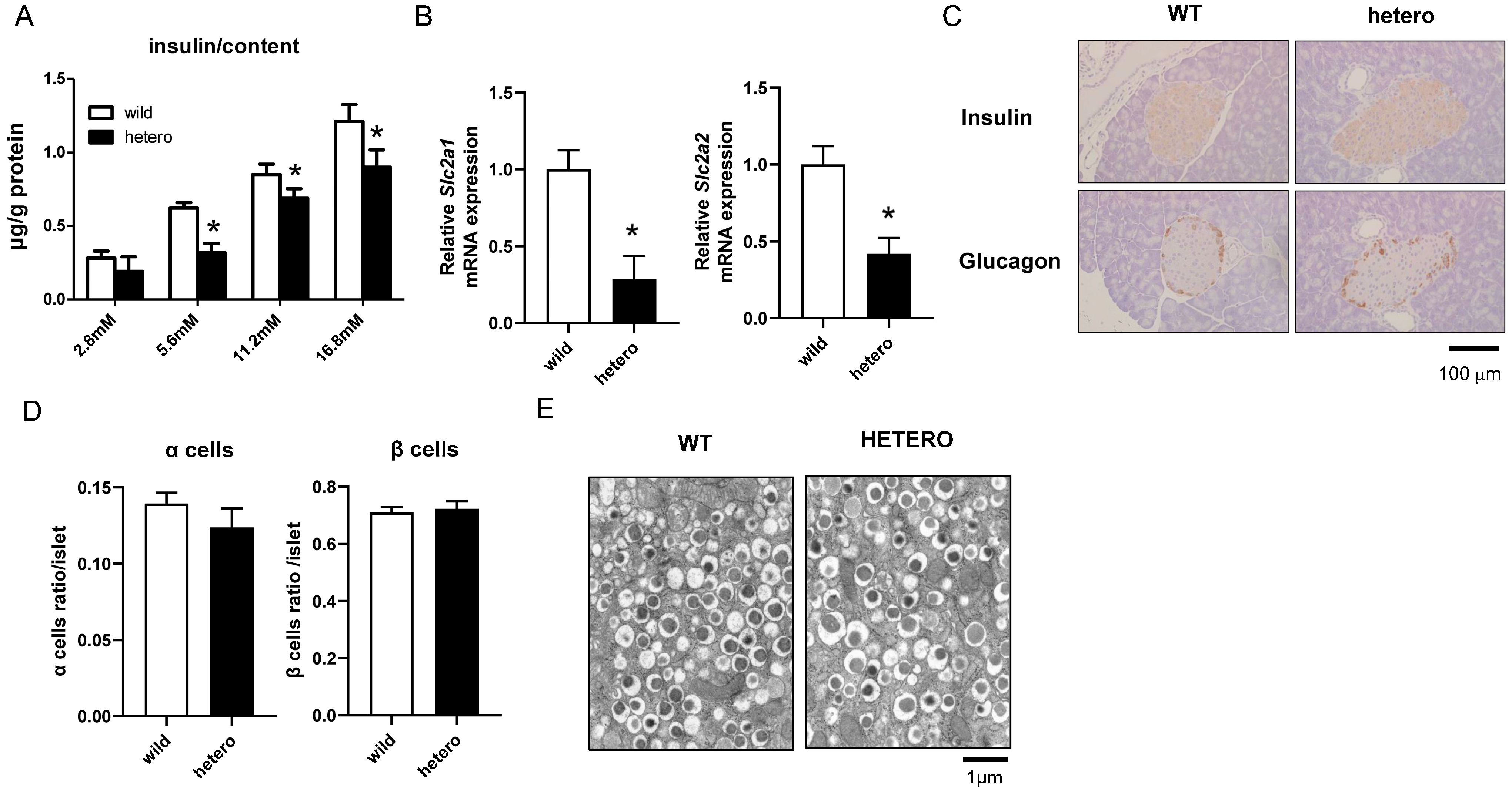 Ijms 25 04704 g004 Ijms 25 04704 g004