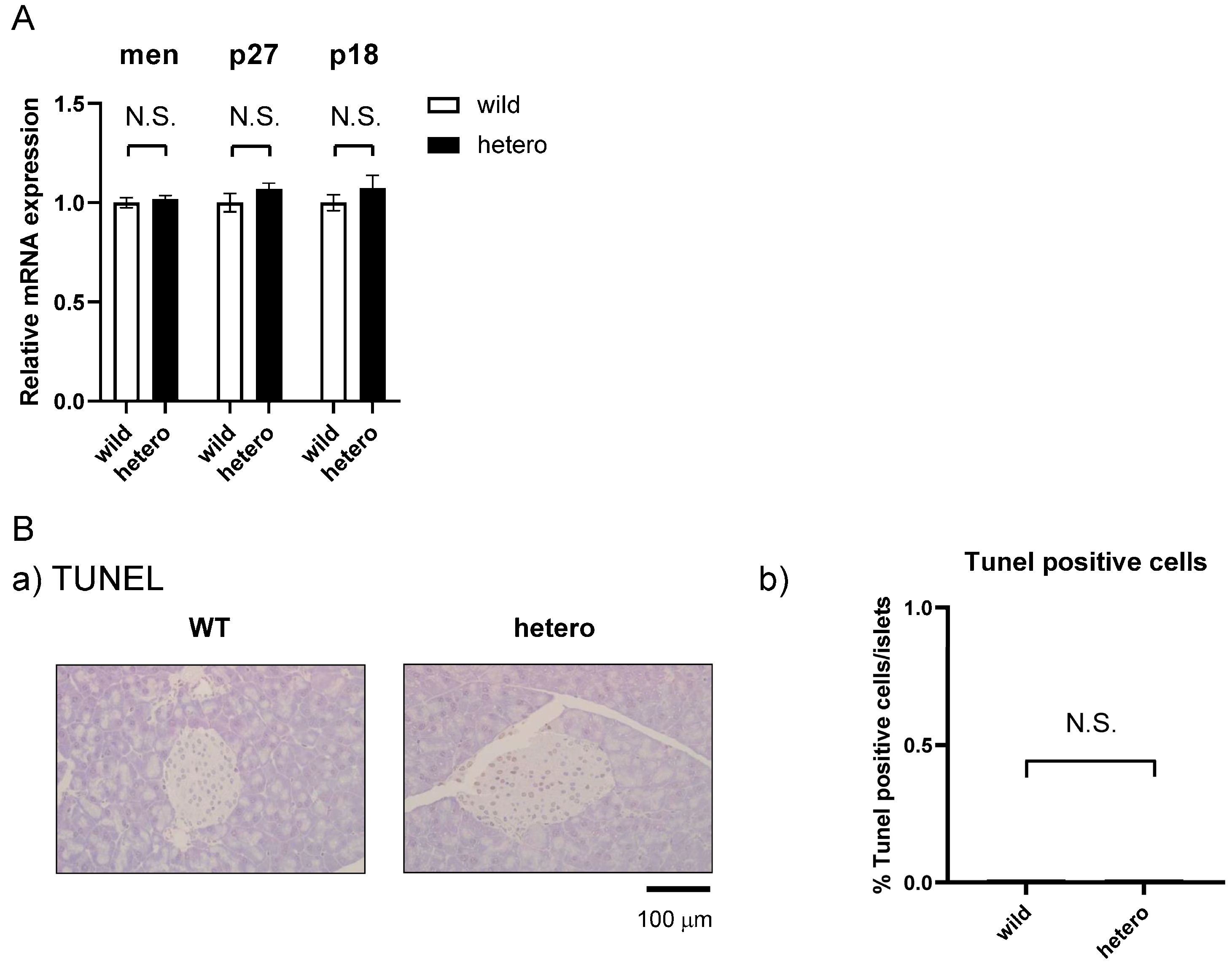 Ijms 25 04704 g005 Ijms 25 04704 g005