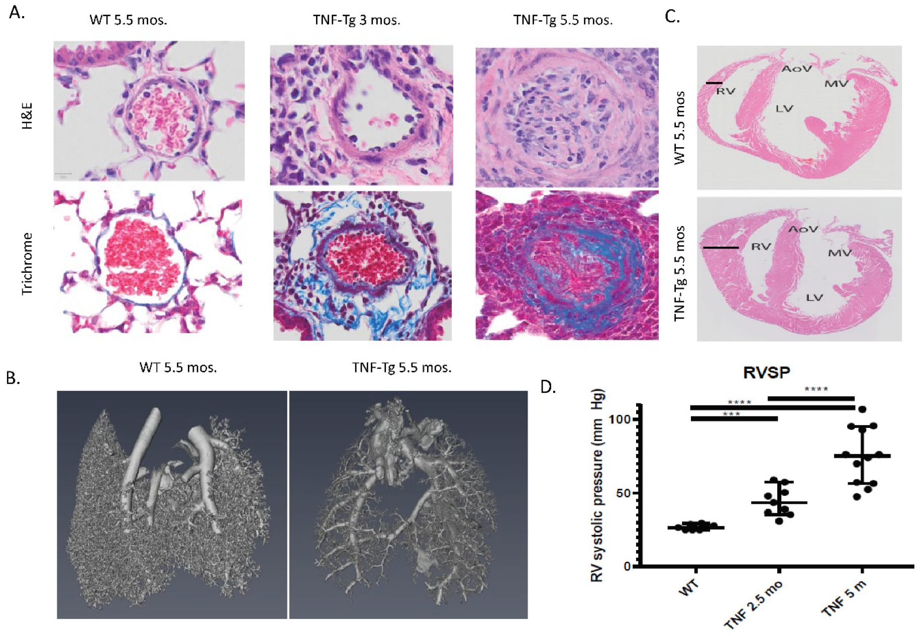 Ijms 25 04728 g002 Ijms 25 04728 g002