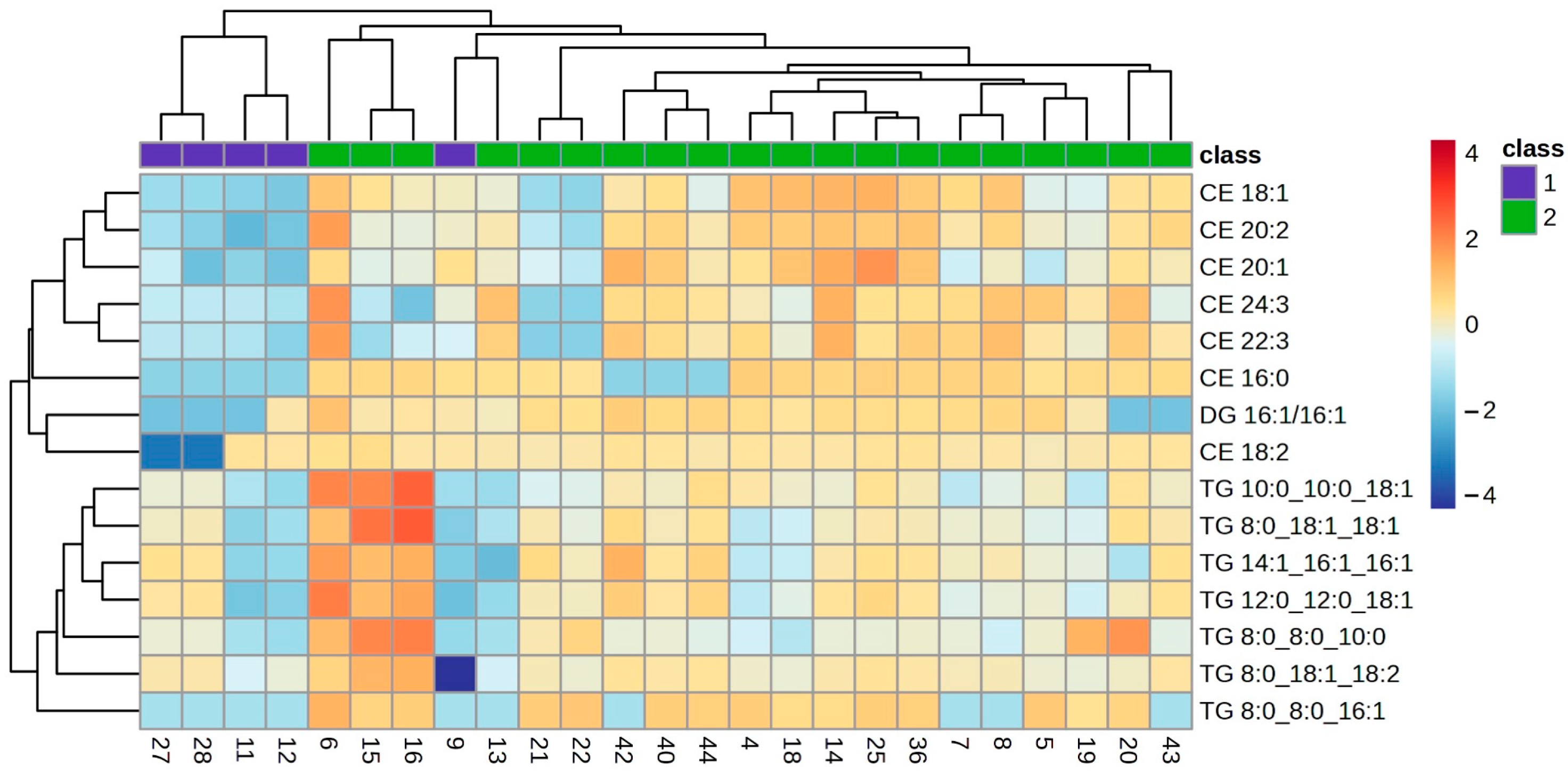 IJMS | Free Full-Text | Meibum Lipidomic Analysis in Evaporative Dry ...