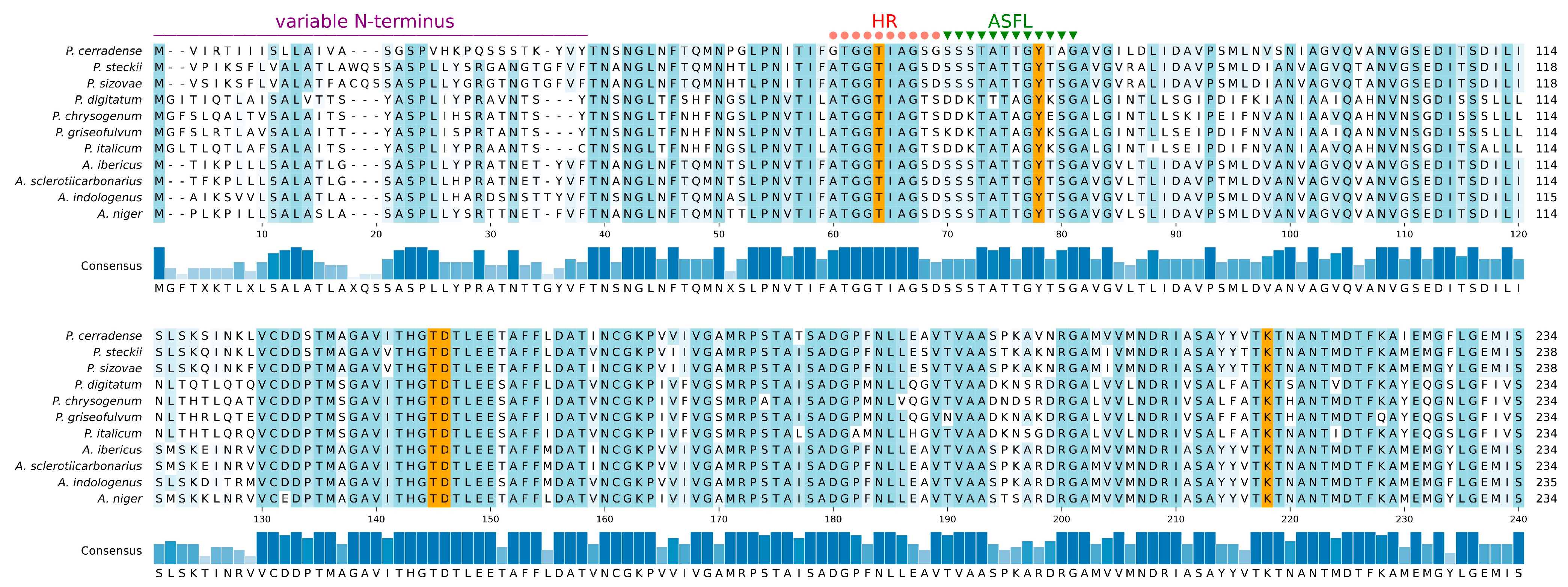 Ijms 25 04788 g002 Ijms 25 04788 g002