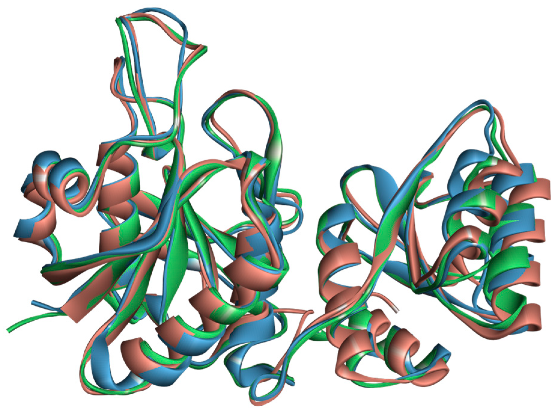 Ijms 25 04788 g004 Ijms 25 04788 g004