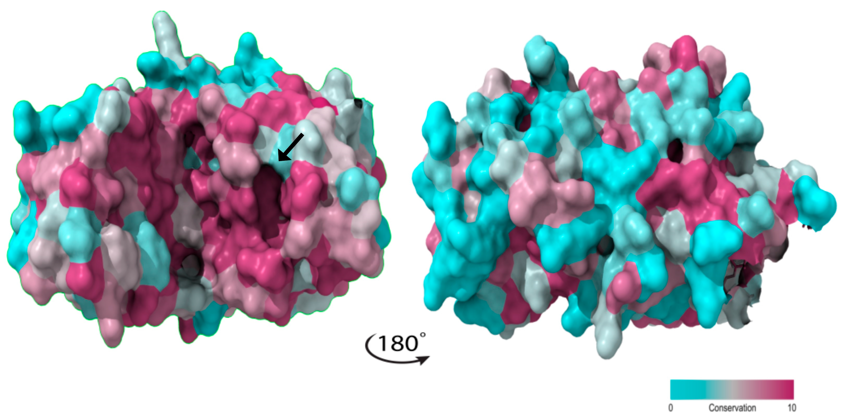 Ijms 25 04788 g005 Ijms 25 04788 g005