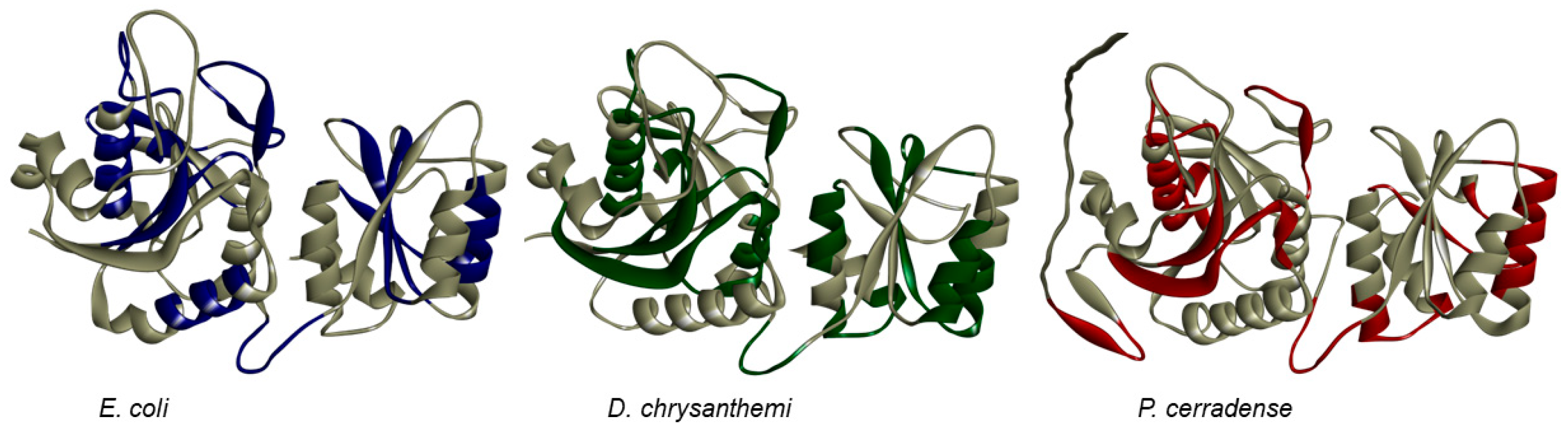 Ijms 25 04788 g009 Ijms 25 04788 g009