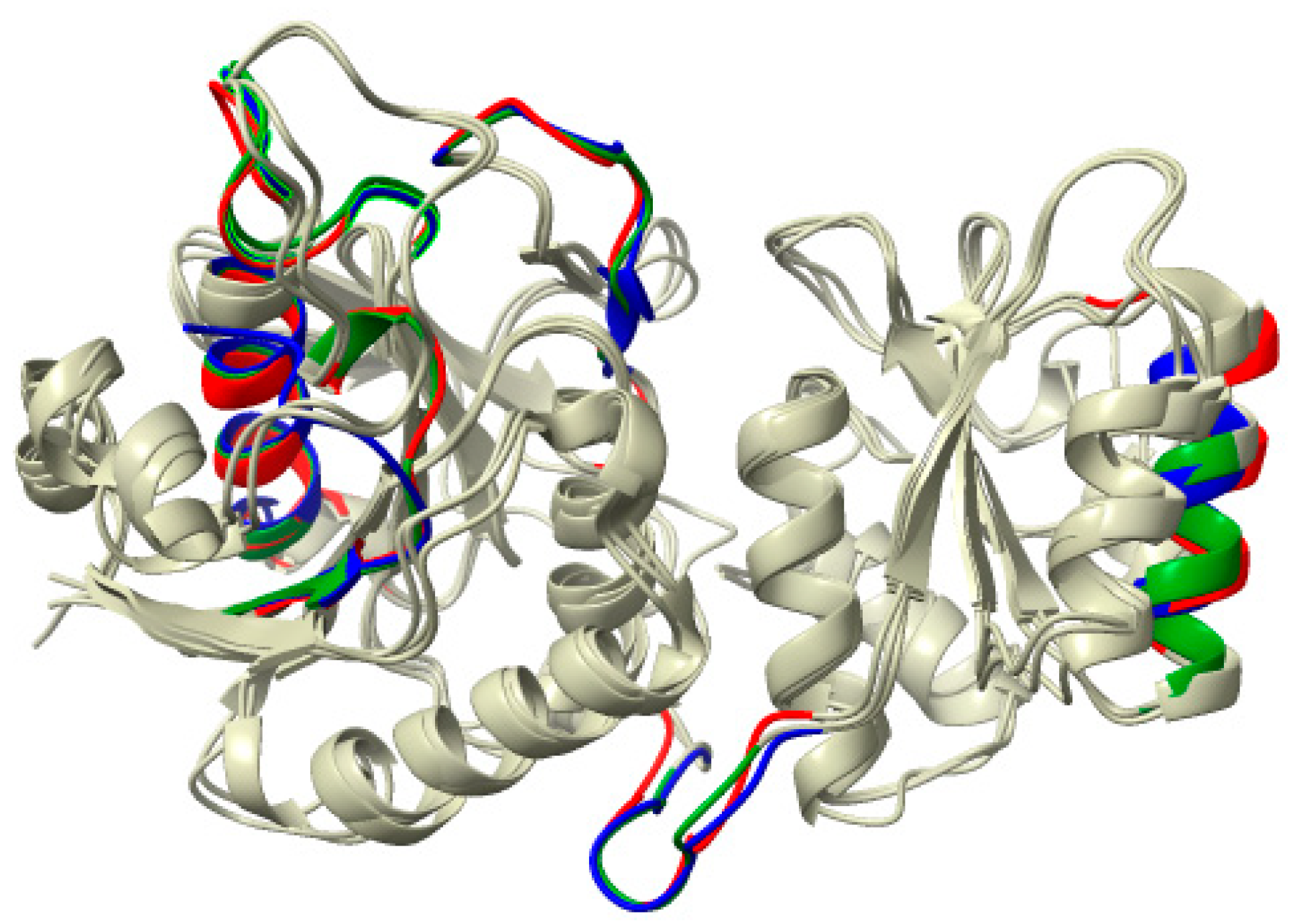 Ijms 25 04788 g010 Ijms 25 04788 g010