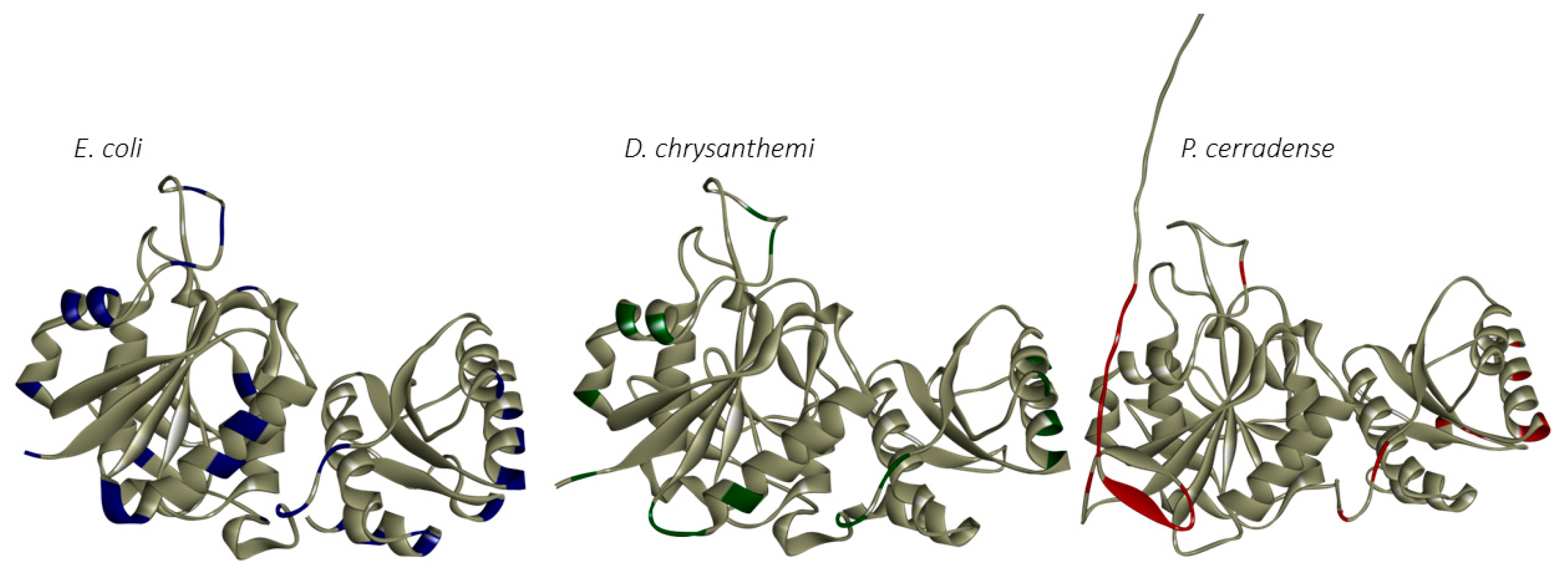 Ijms 25 04788 g012 Ijms 25 04788 g012